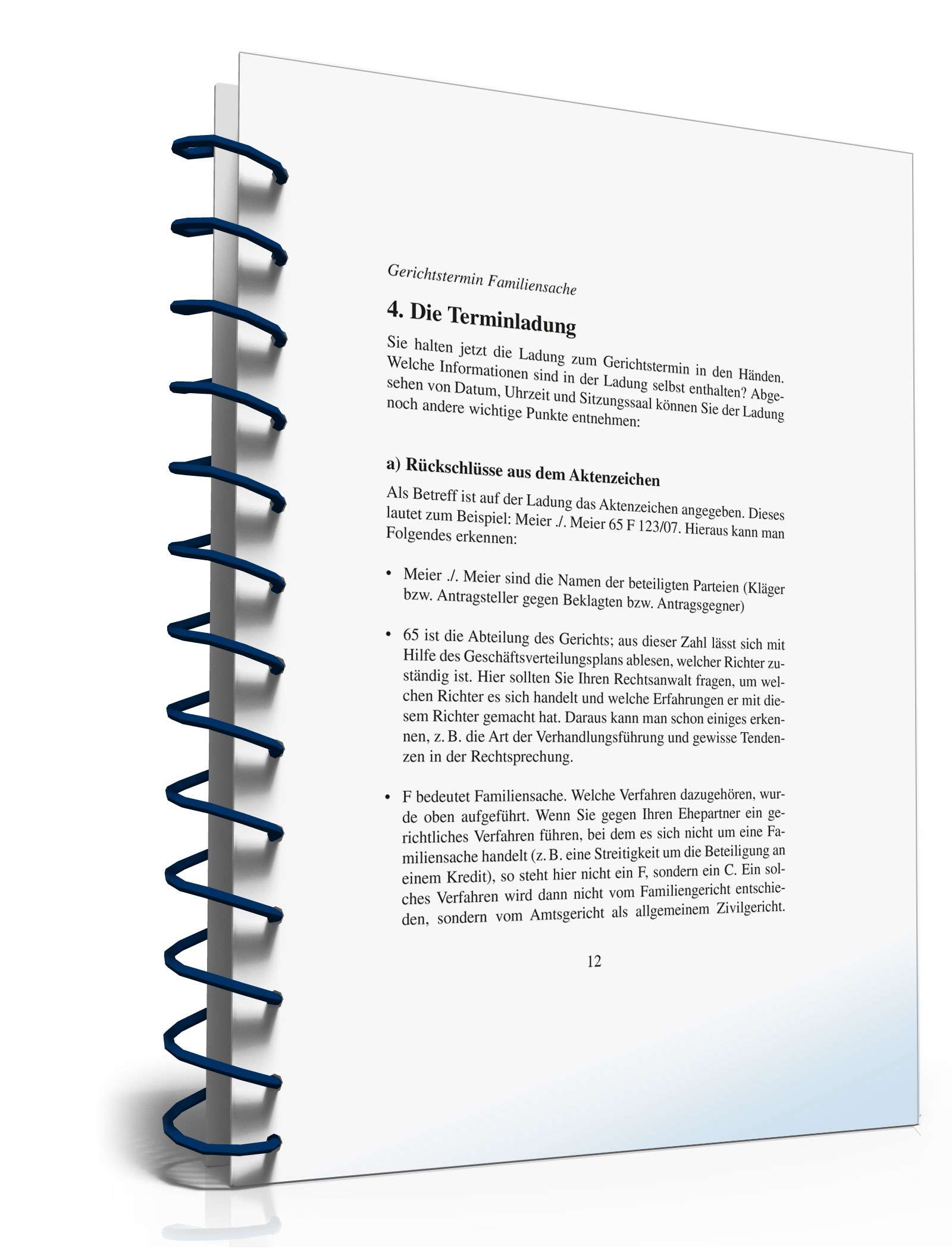Ratgeber Gerichtstermin Familiensache PDF. Seite: 12