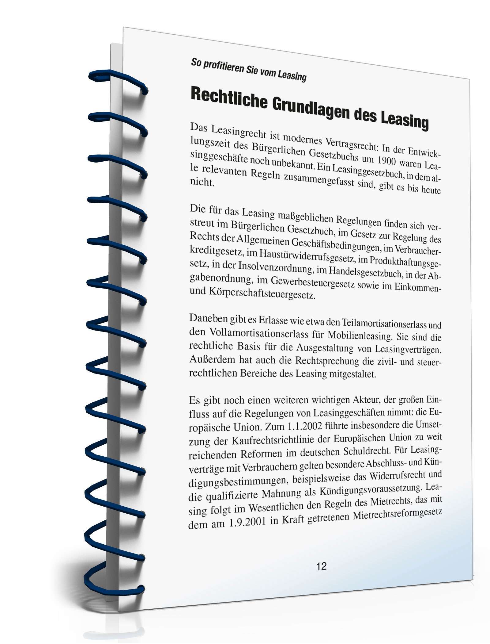 Ratgeber zum Thema Leasing  PDF. Seite: 11