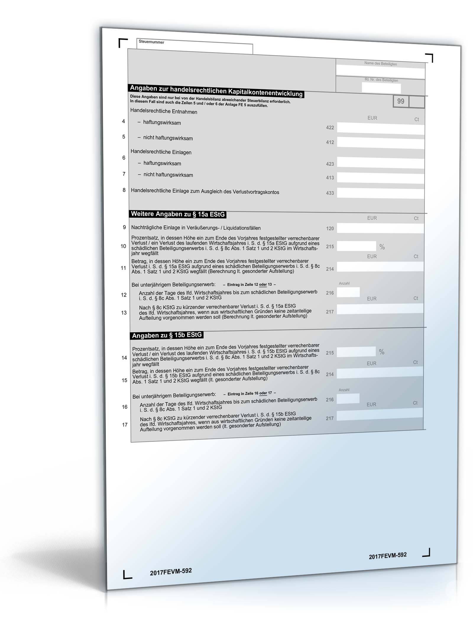 Anlage FE-VM 2017 PDF. Seite: 2