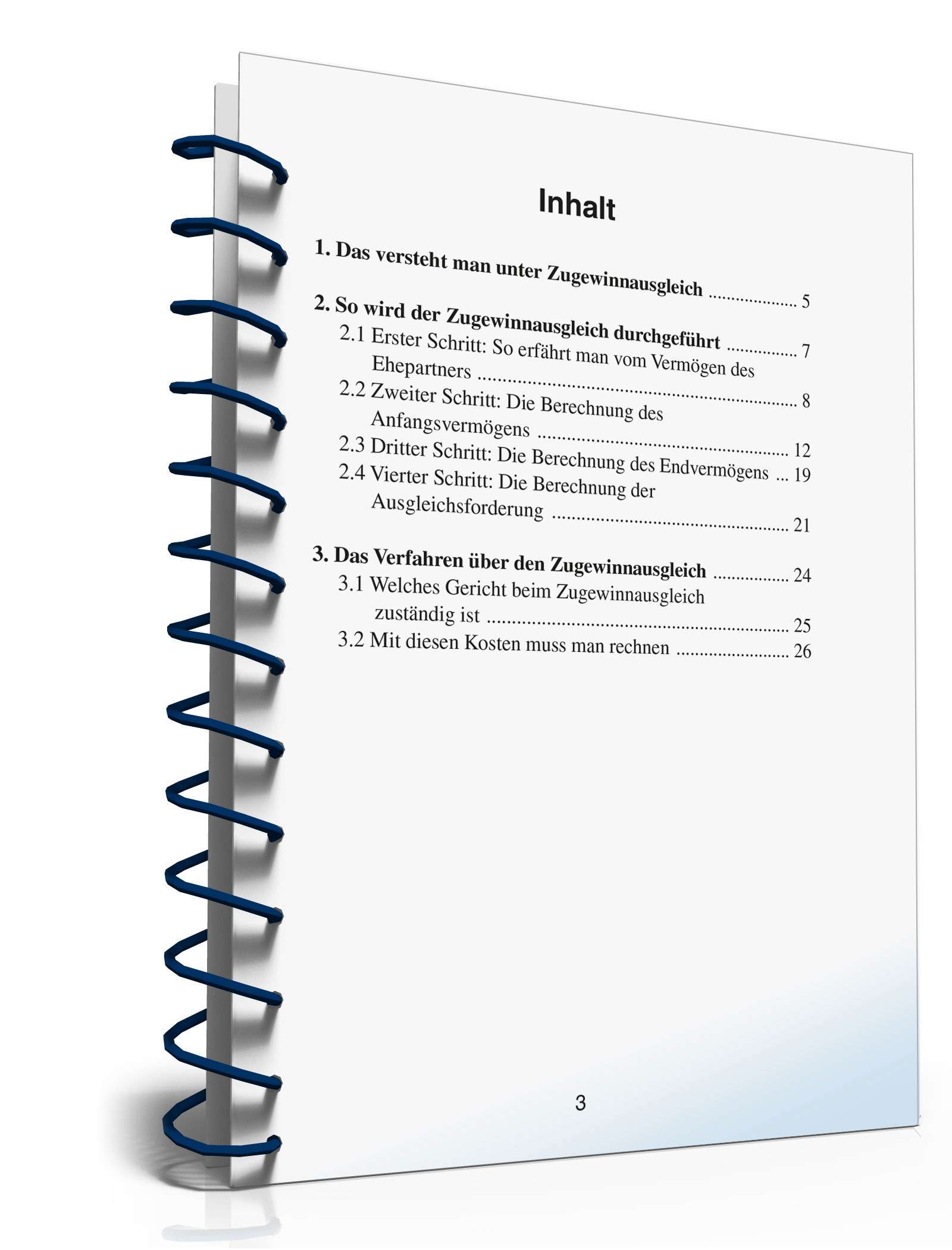 Ratgeber Eheliches Güterrecht PDF. Seite: 3