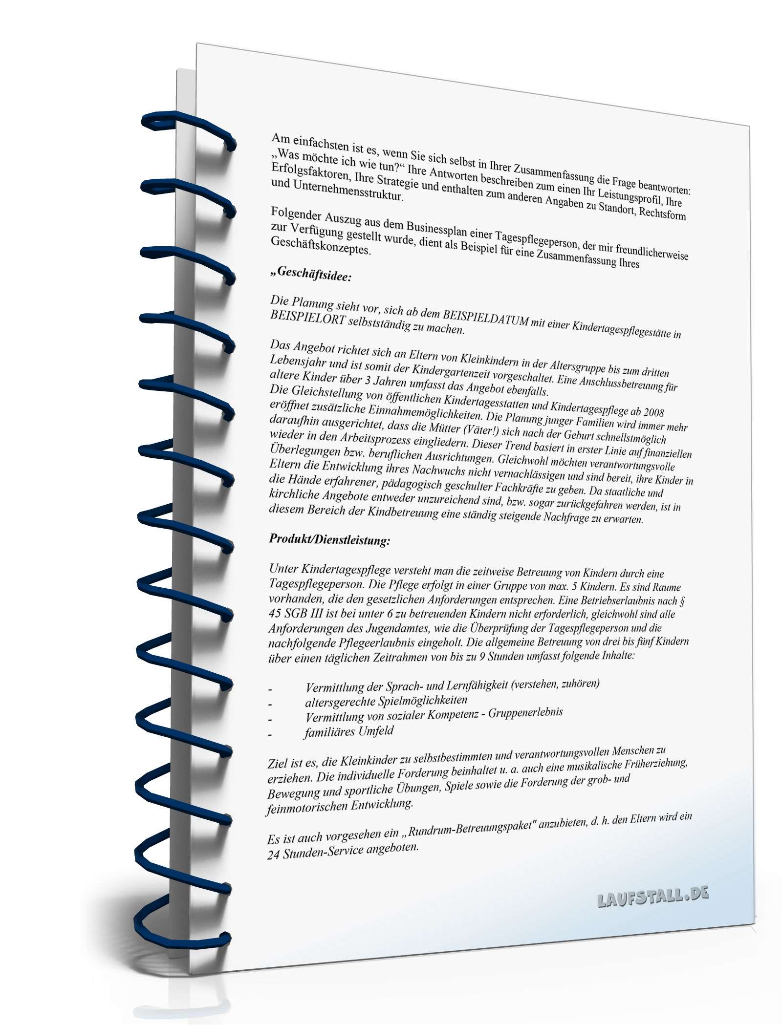 Ratgeber Businessplan Tageseltern PDF. Seite: 6