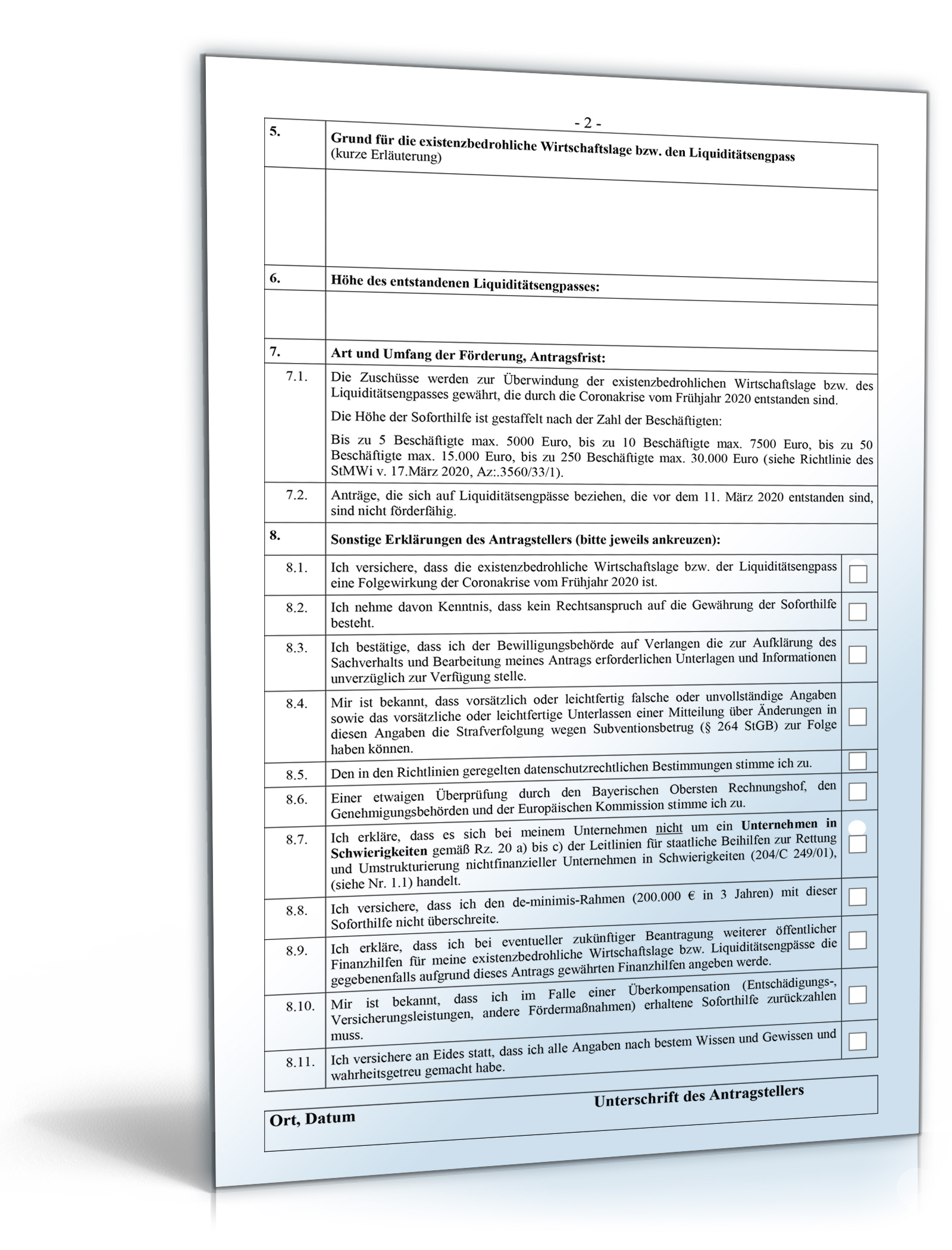 Antrag Soforthilfe Corona PDF. Seite: 2