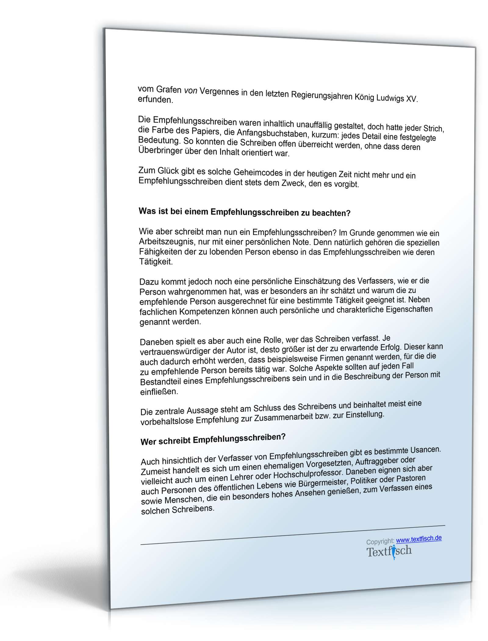 Referenzschreiben Programmierer Word. Seite: 4