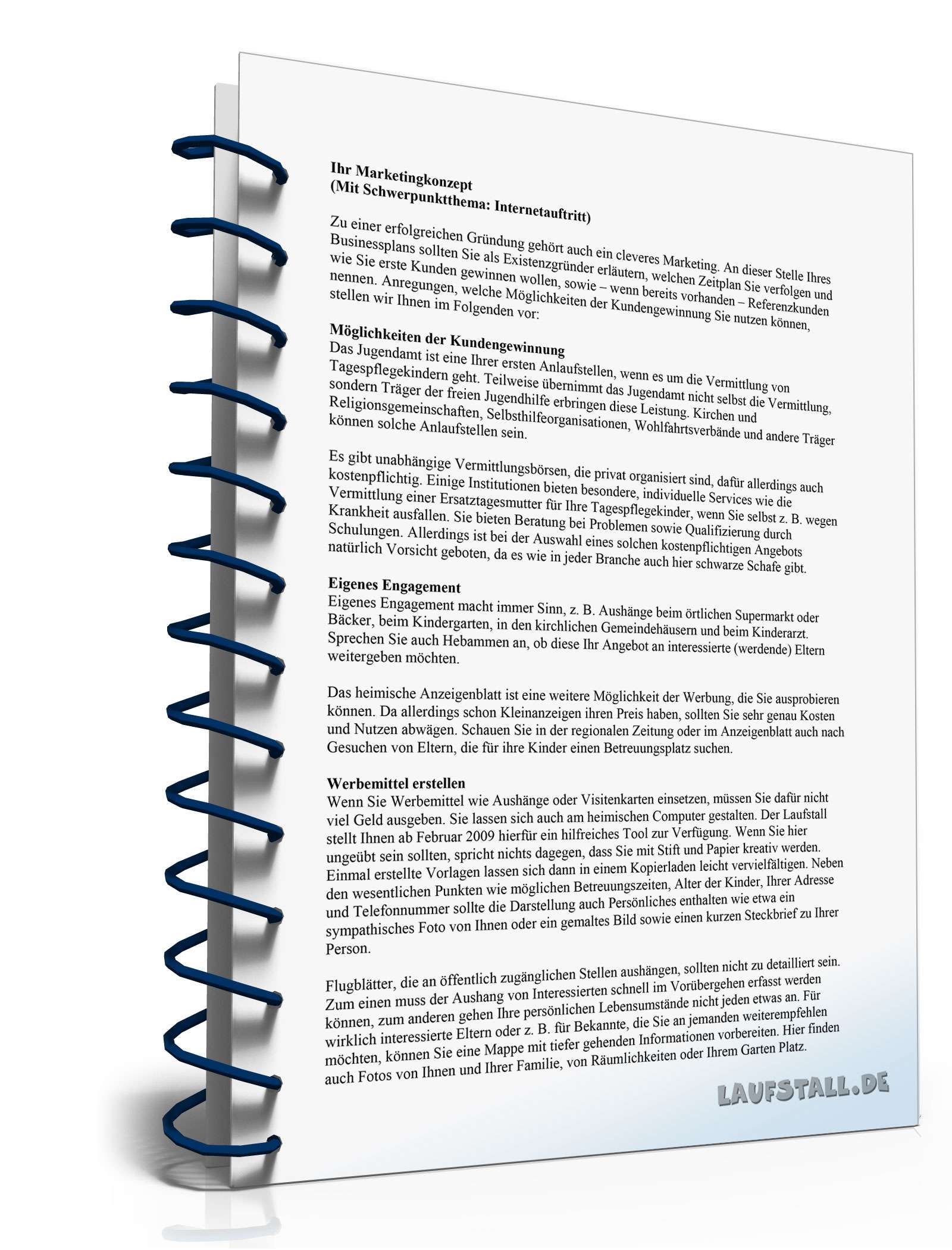 Ratgeber Businessplan Tageseltern PDF. Seite: 13