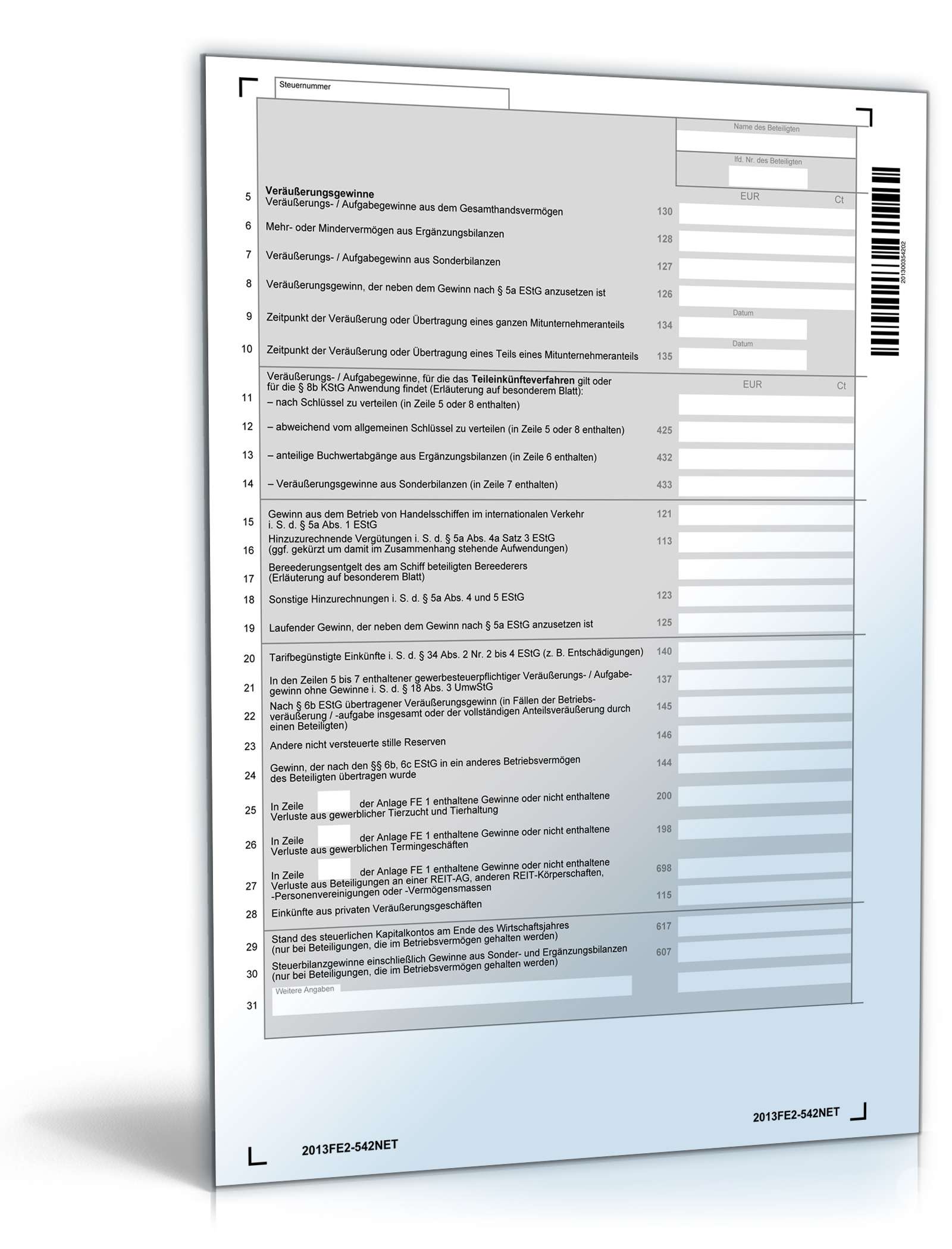 Anlage FE 2 2013 PDF. Seite: 2