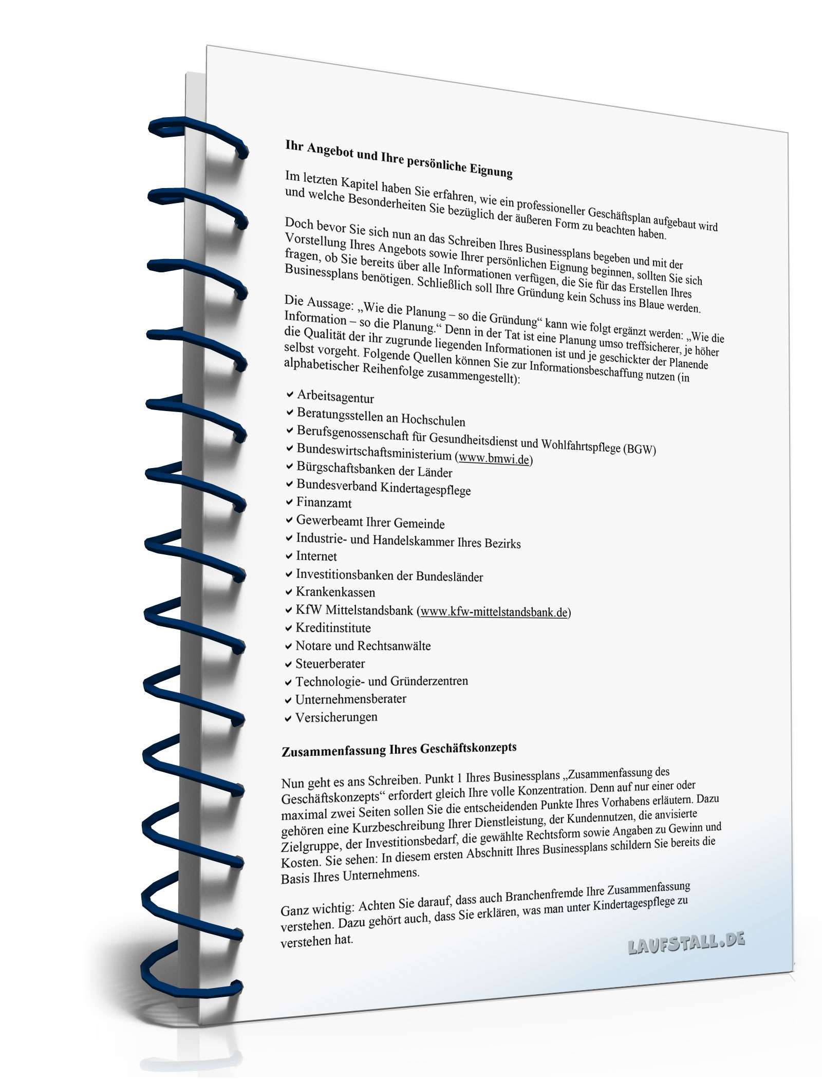 Ratgeber Businessplan Tageseltern PDF. Seite: 5