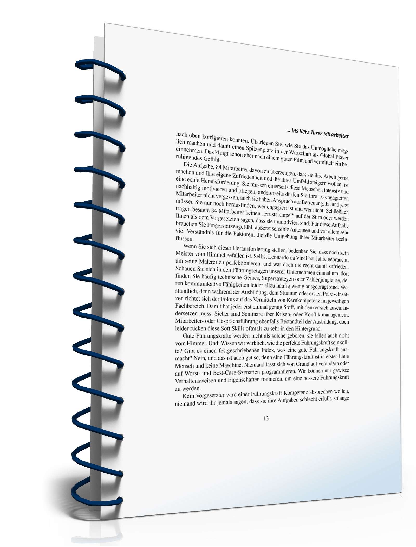 Emotionales Change Management PDF. Seite: 11