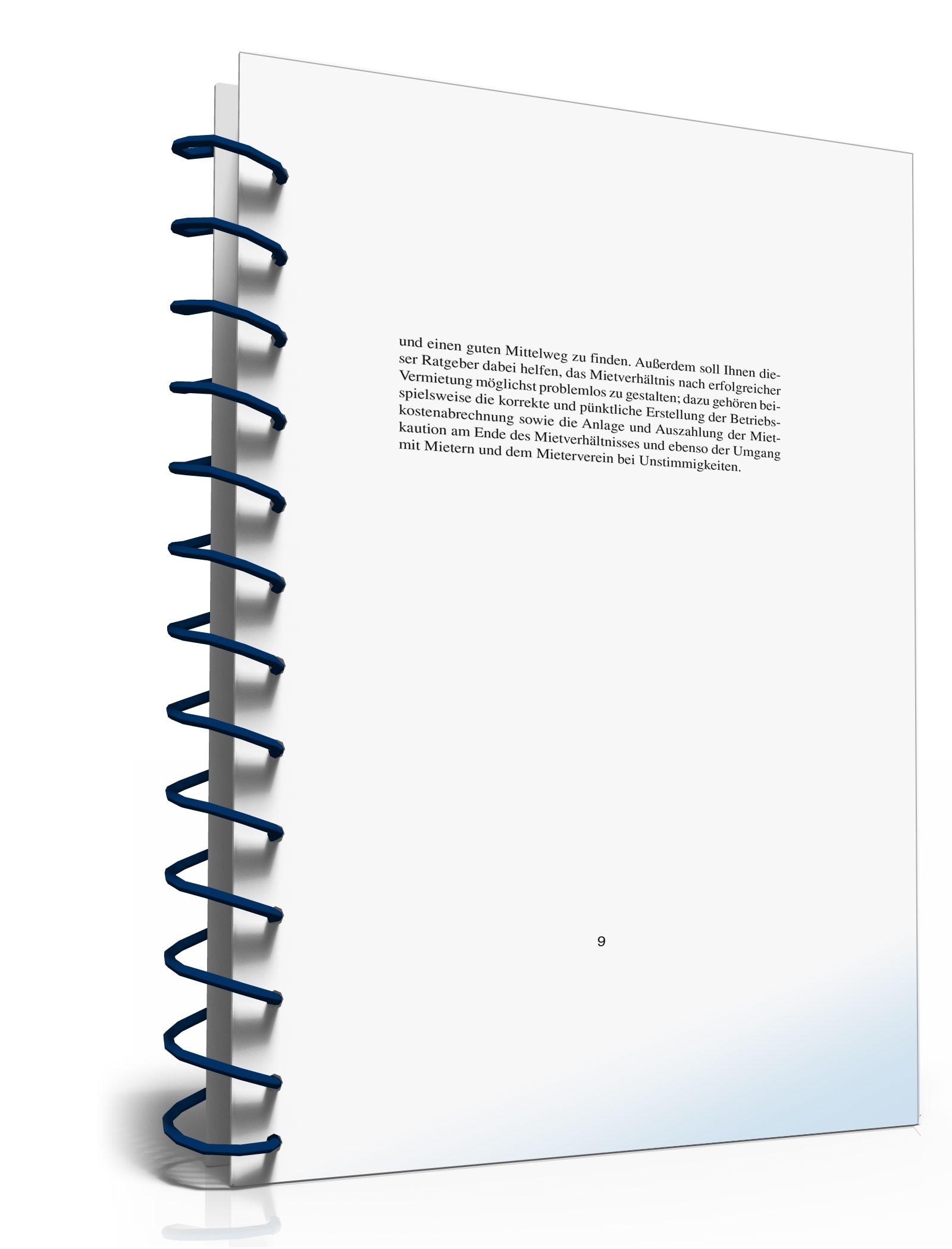 Ratgeber Vermietung Immobilien PDF. Seite: 7