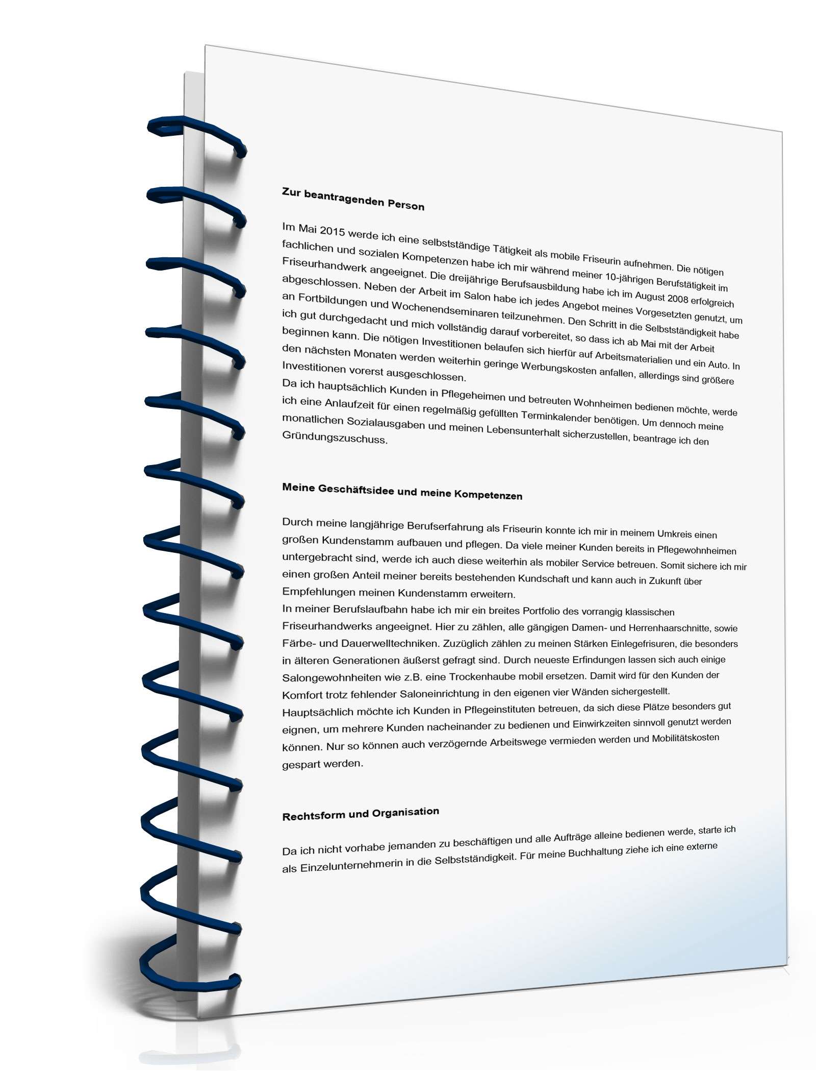 Businessplan mobiler Friseur  Excel. Seite: 2