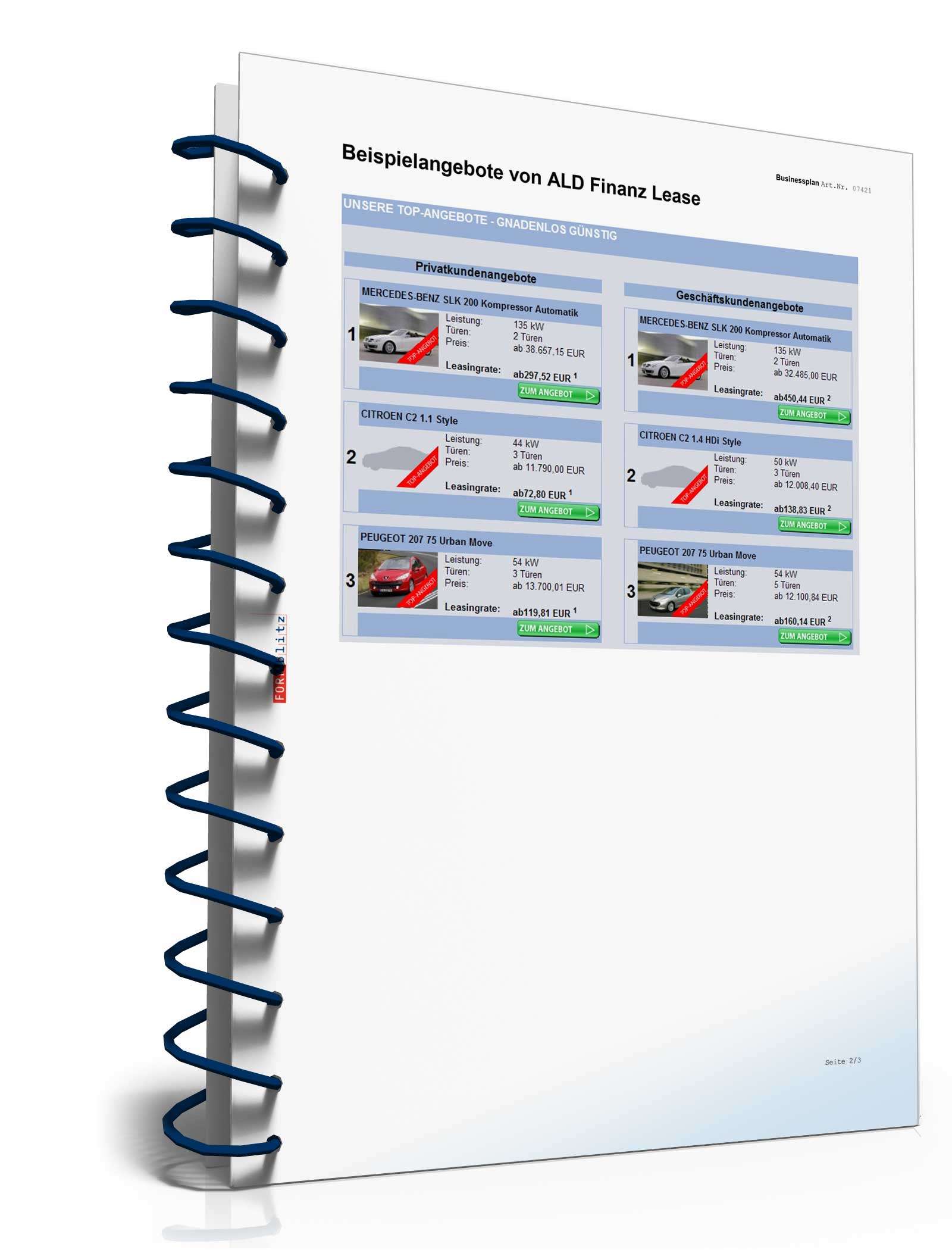 Businessplan für ein Leasingunternehmen Excel. Seite: 20