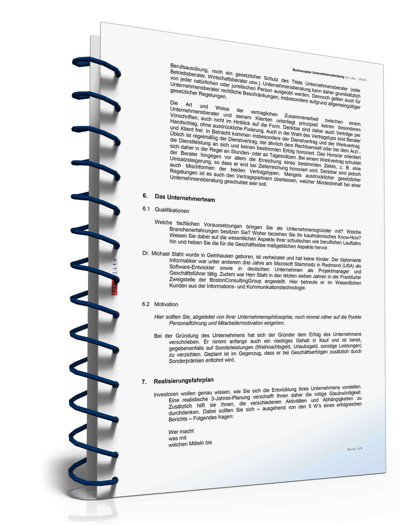 Businessplan Unternehmensberatung Excel. Seite: 13