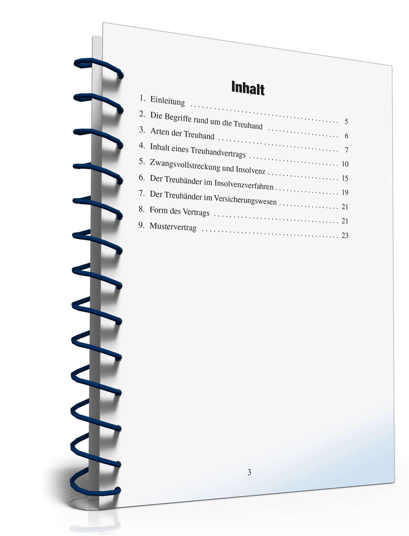 Der Treuhandvertrag PDF. Seite: 3