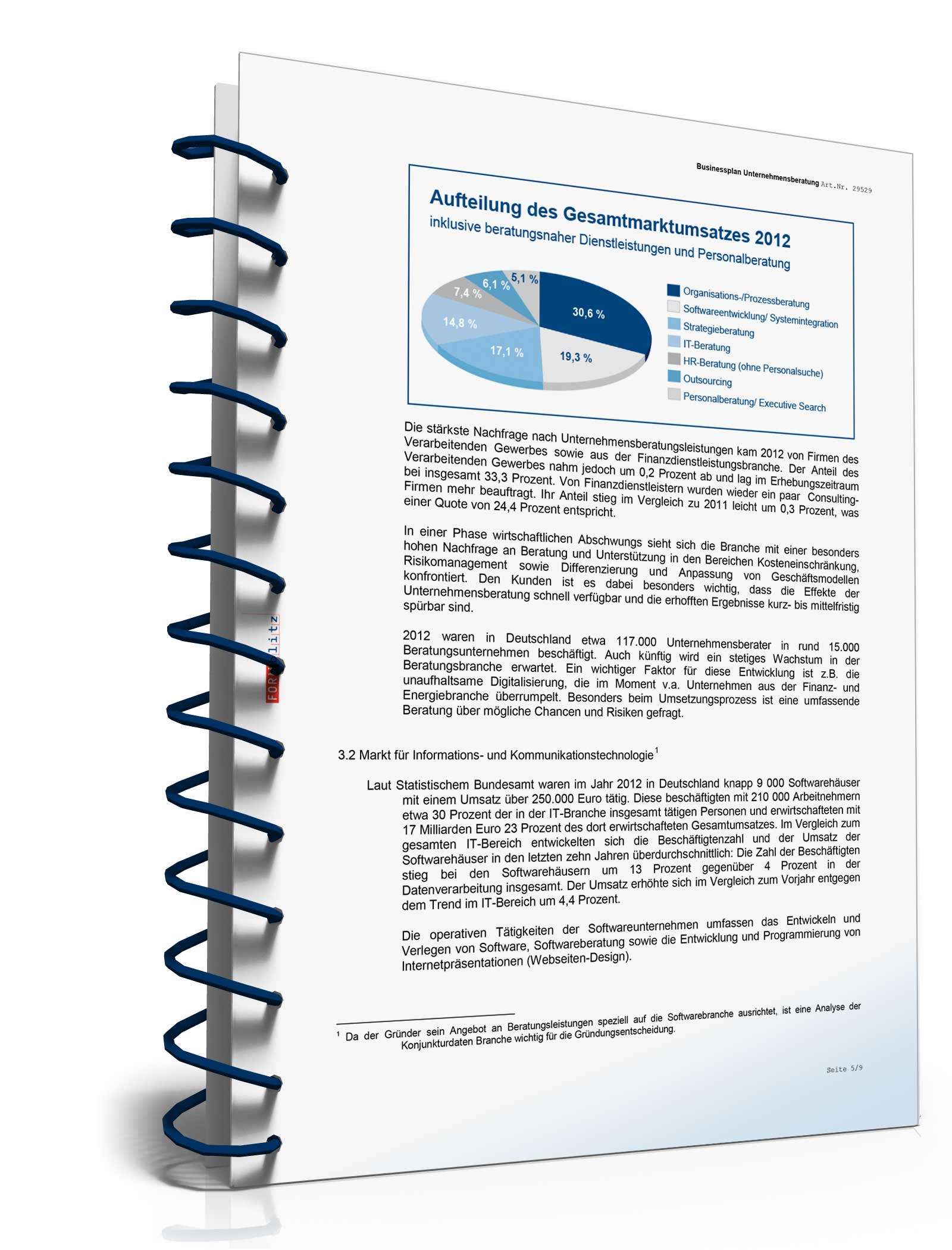 Businessplan Unternehmensberatung Excel. Seite: 10