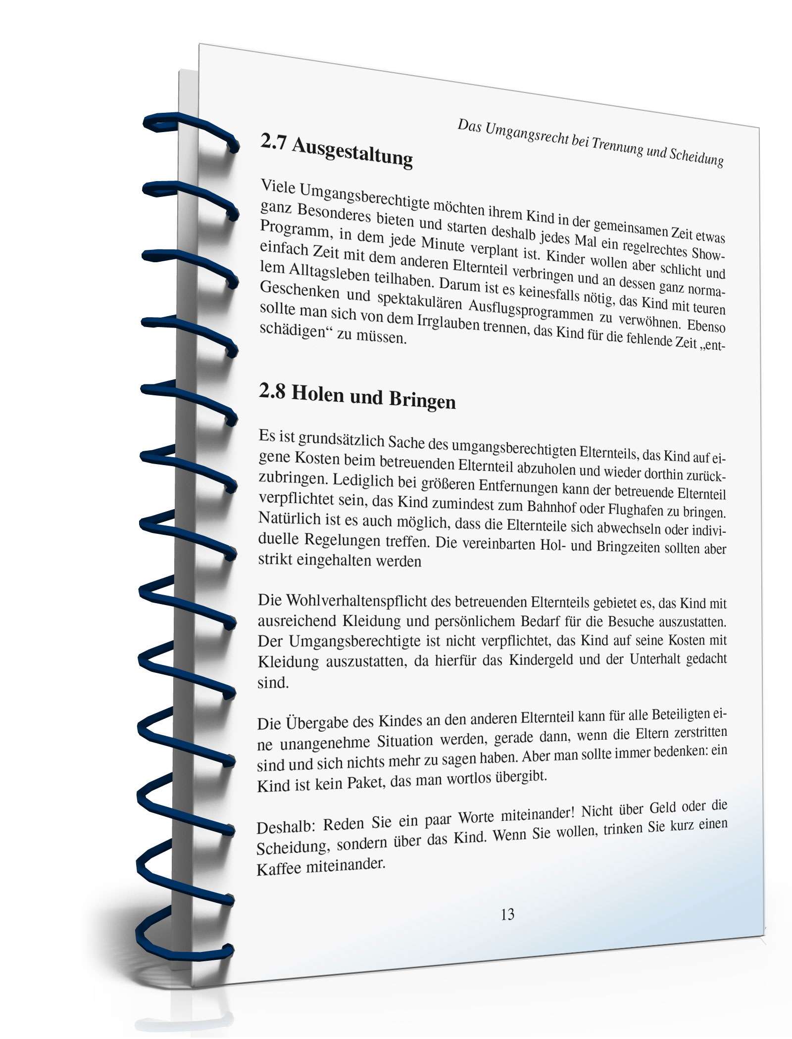 Ratgeber Umgangsrecht Trennung/Scheidung PDF. Seite: 12