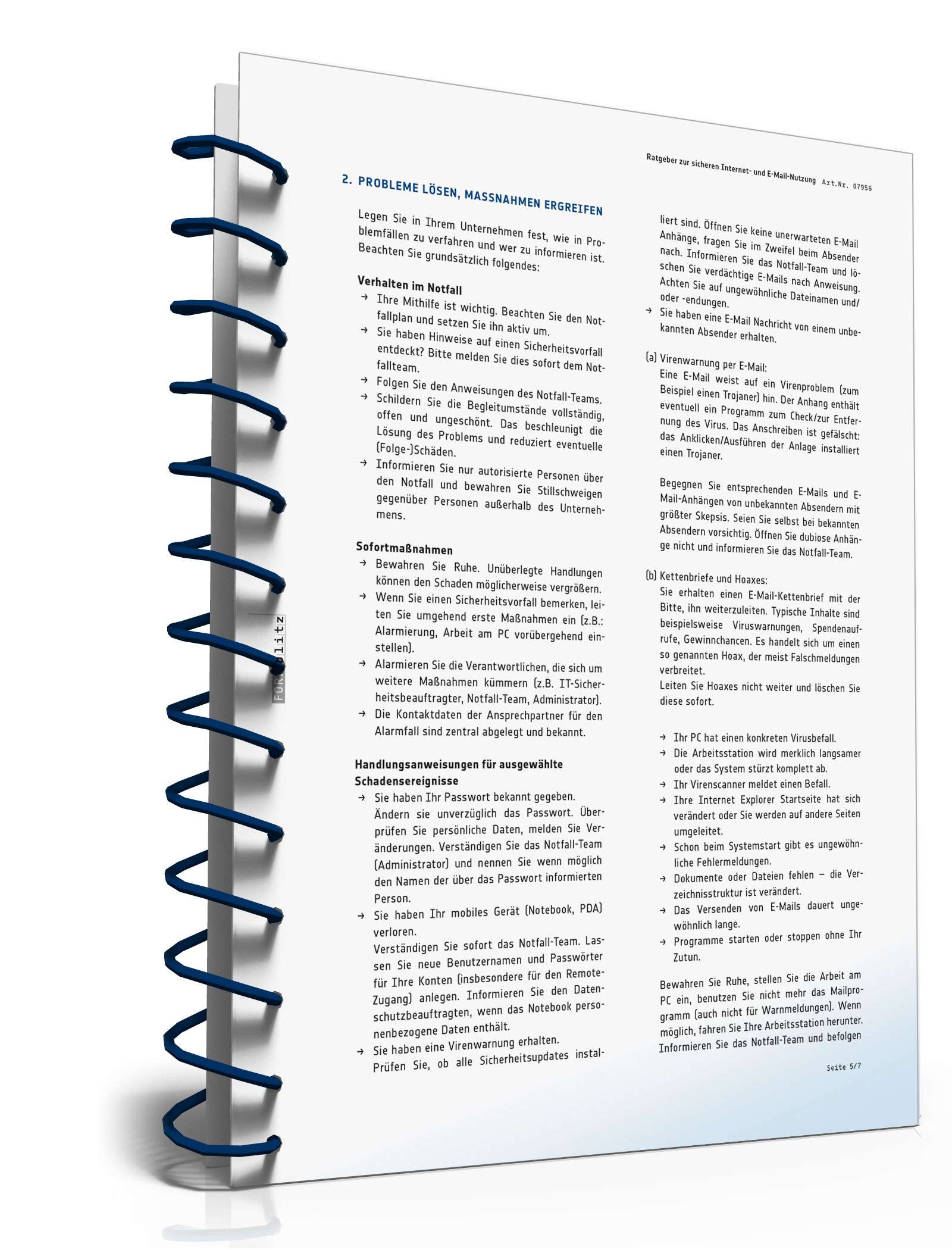 Sichere Internet- und E-Mail-Nutzung PDF. Seite: 6