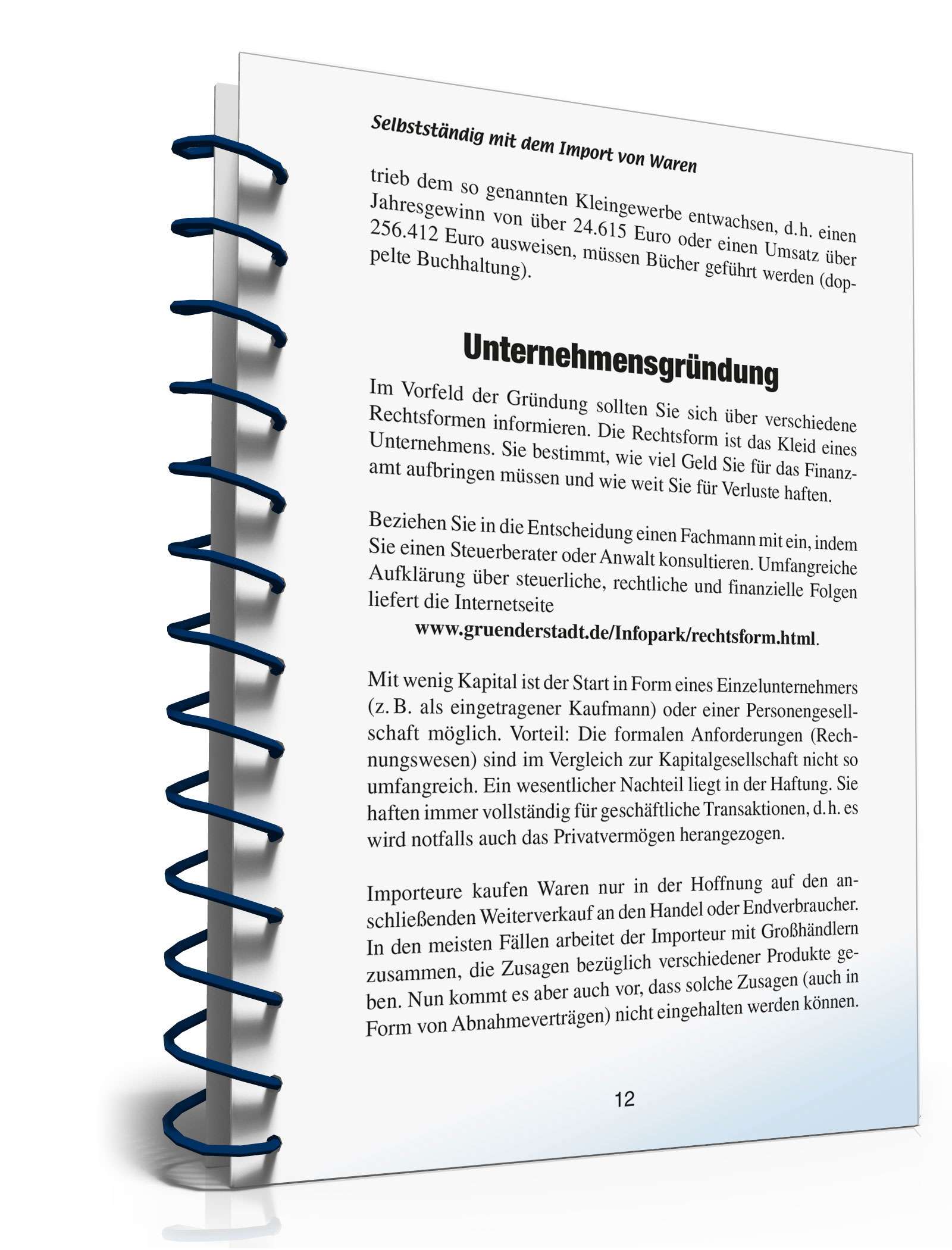 Selbstständig mit Warenimport PDF. Seite: 11