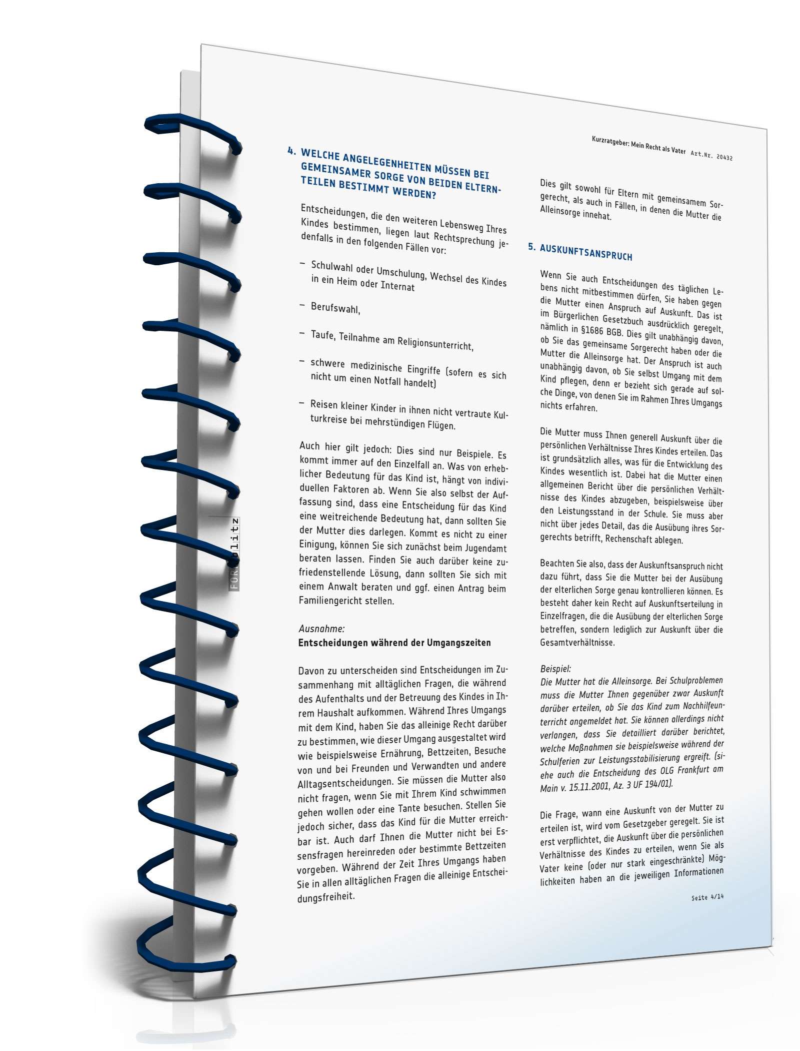 Mein Recht als Vater PDF. Seite: 4