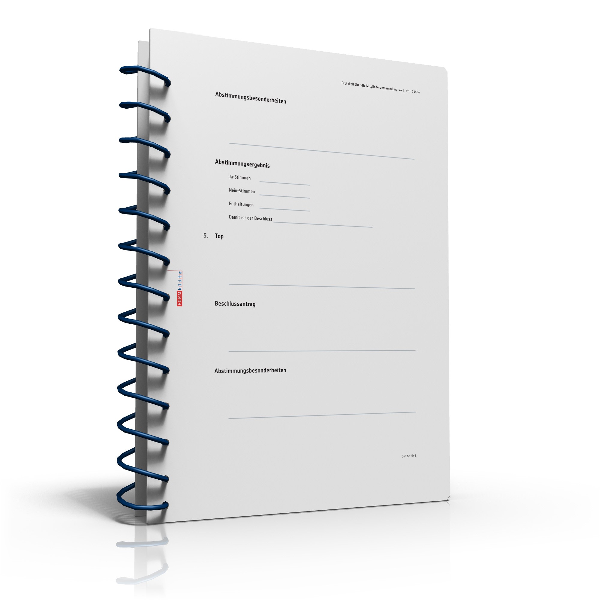 Protokoll Vereinsversammlung PDF. Seite: 6