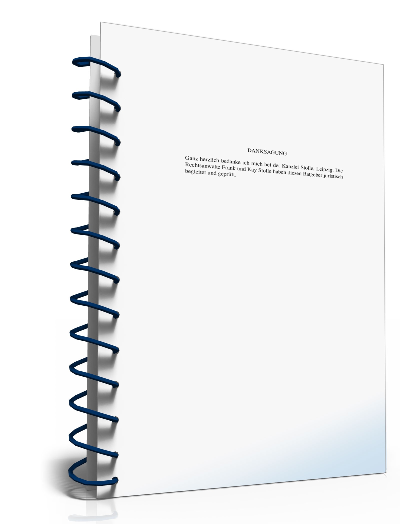 Ratgeber zahlungsunwilliger Kunde PDF. Seite: 4