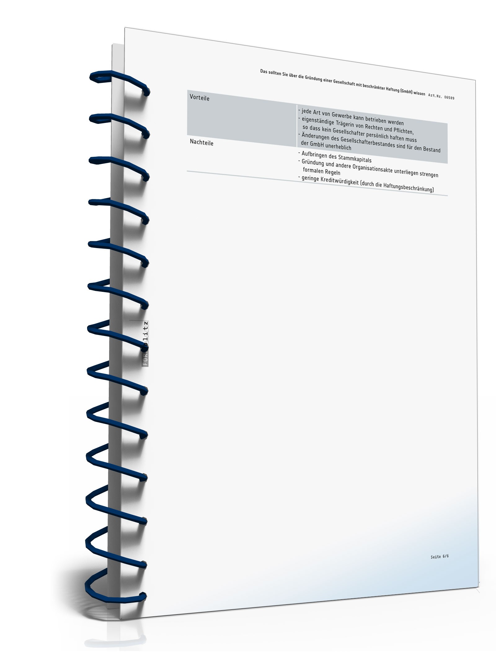 Ratgeber Gründung GmbH PDF. Seite: 7