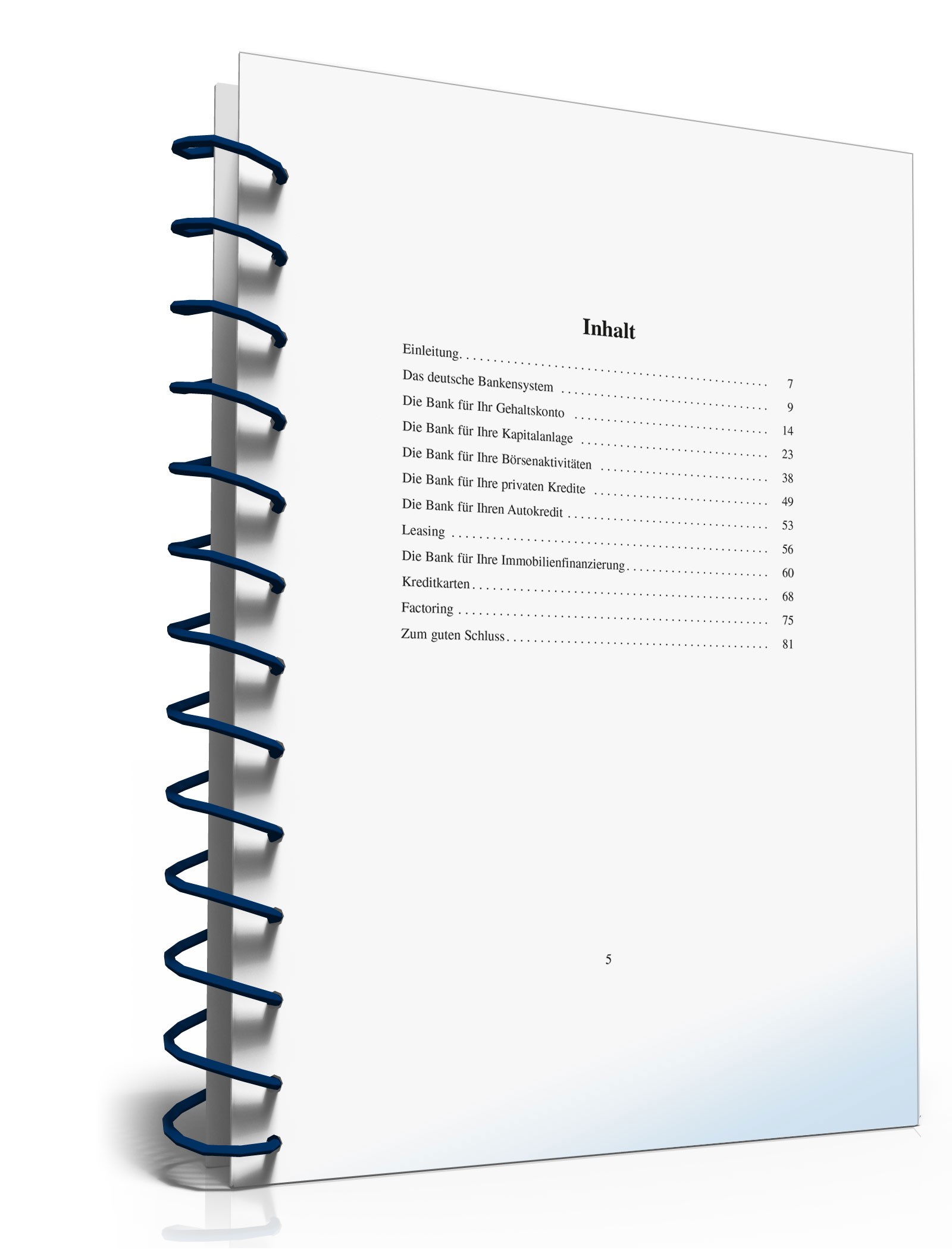 Ratgeber Auswahl Kreditinstitut  PDF. Seite: 4