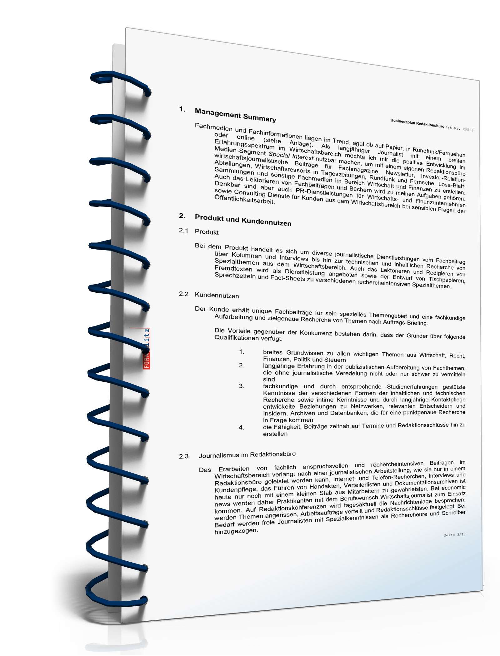 Businessplan Redaktionsbüro Excel. Seite: 2