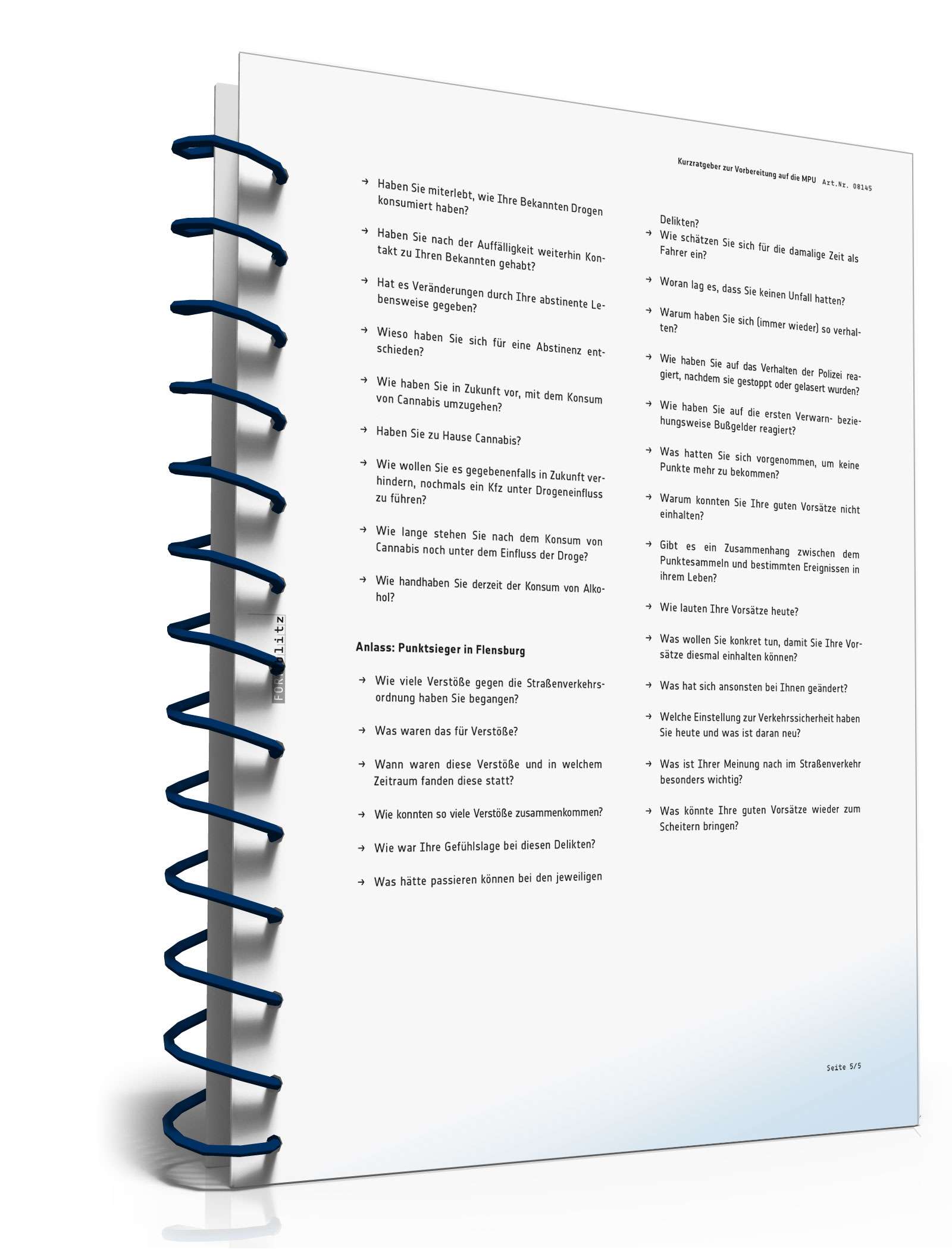 Kurzratgeber zur Vorbereitung auf die MPU PDF. Seite: 6