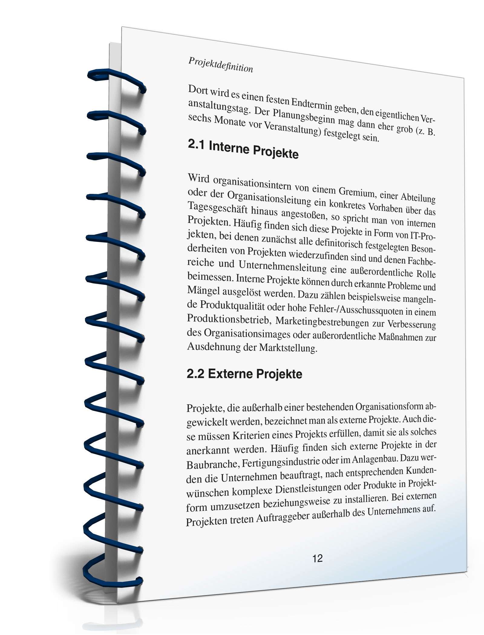 Projektmanagement in der Praxis PDF. Seite: 11