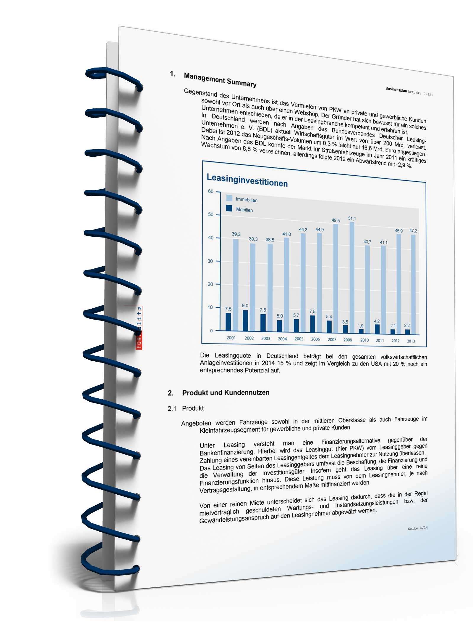 Businessplan für ein Leasingunternehmen Excel. Seite: 7