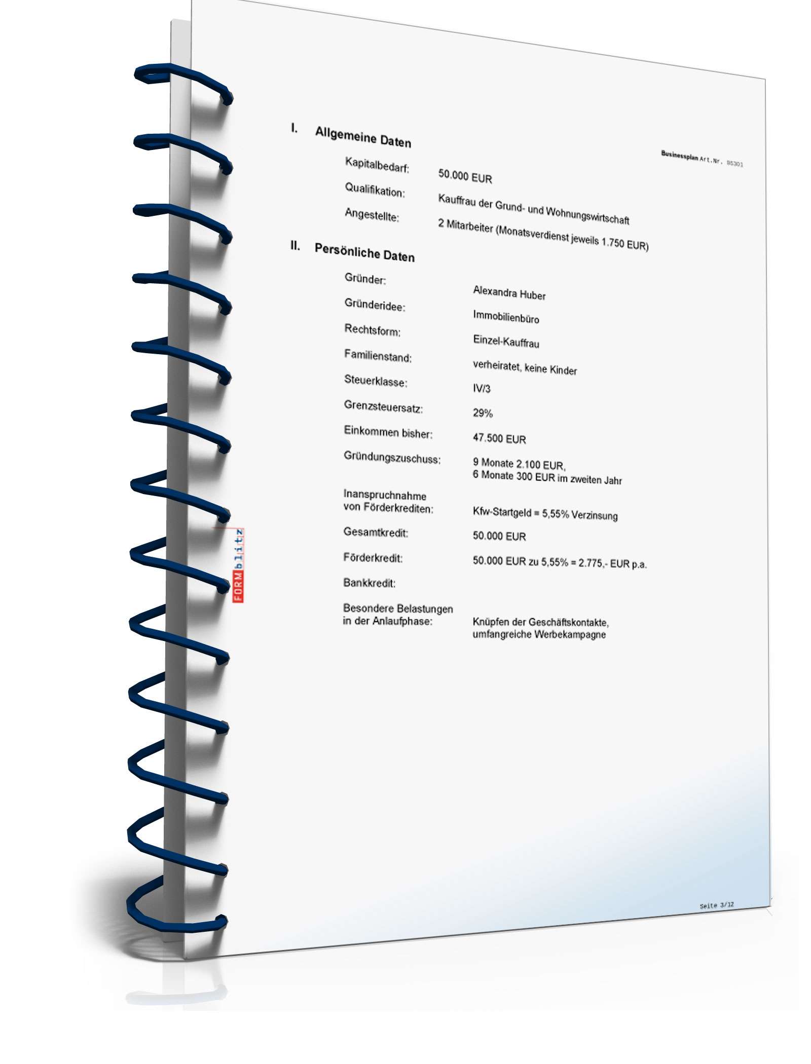 Businessplan Immobilienmaklerbüro Excel. Seite: 7