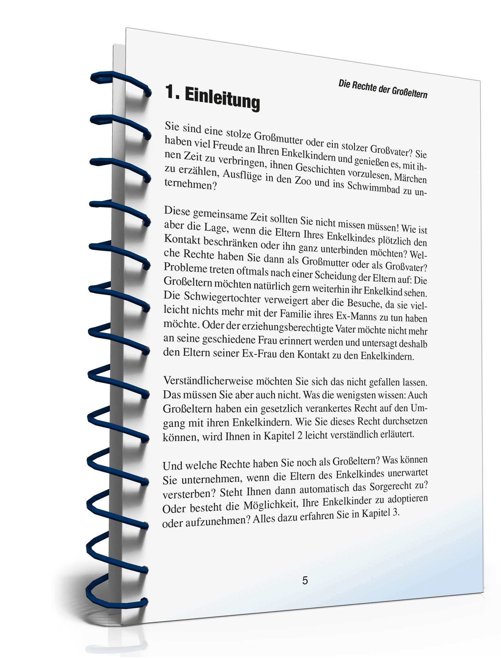Ratgeber Recht Großeltern PDF. Seite: 4