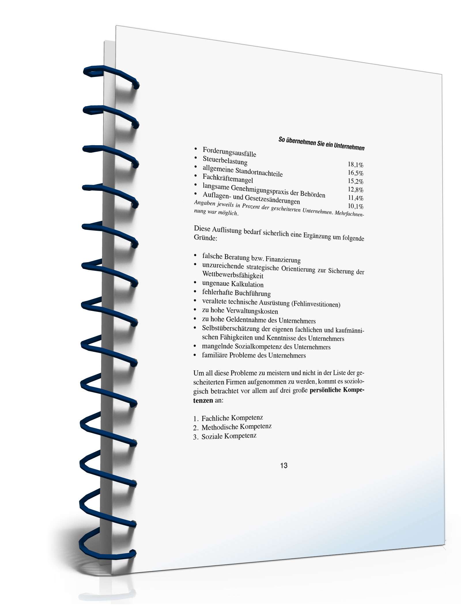 Unternehmensnachfolge PDF. Seite: 12