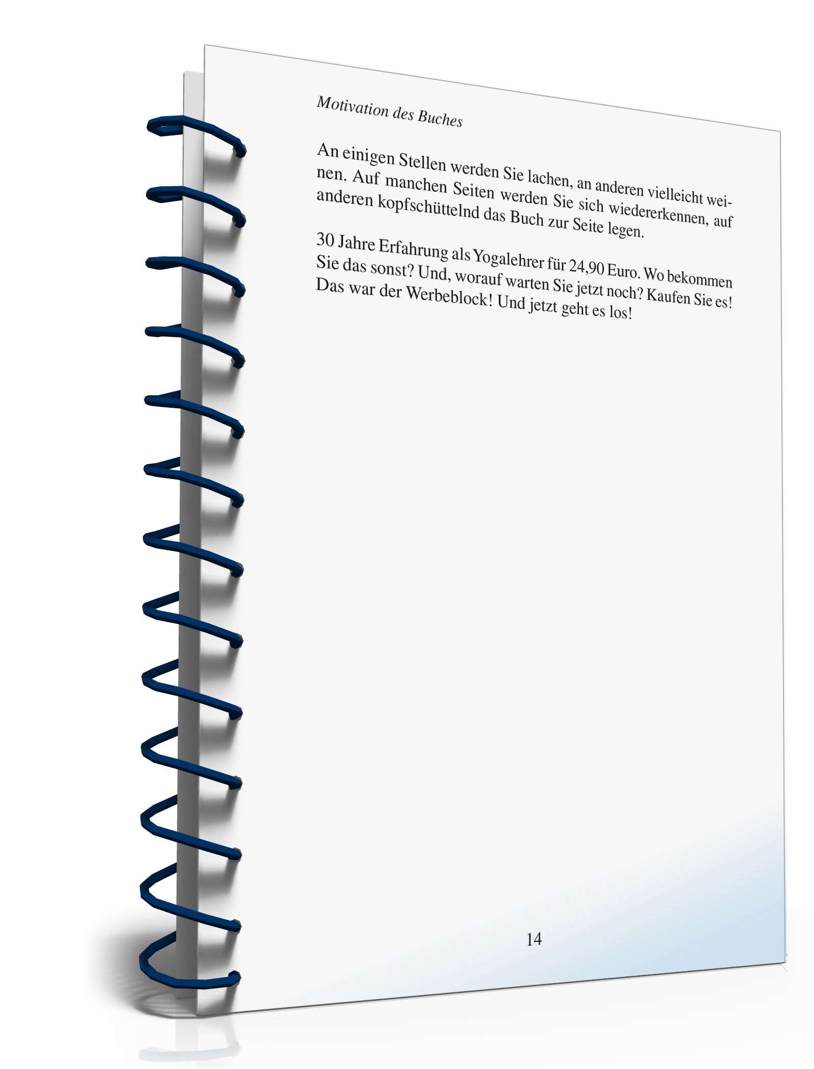 Erfolgreich als Yogalehrer PDF. Seite: 14