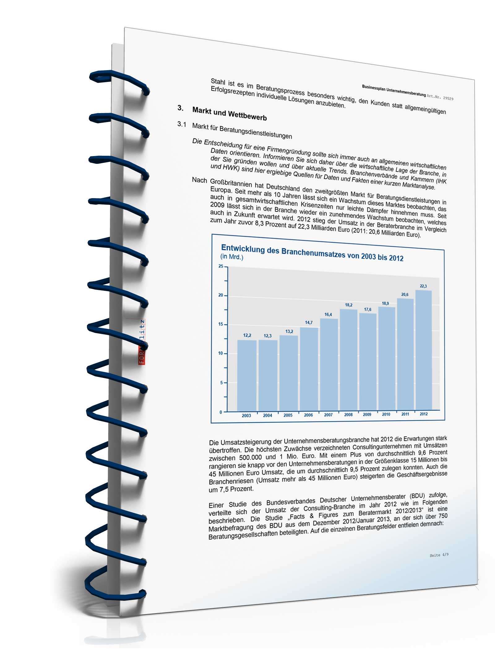 Businessplan Unternehmensberatung Excel. Seite: 9