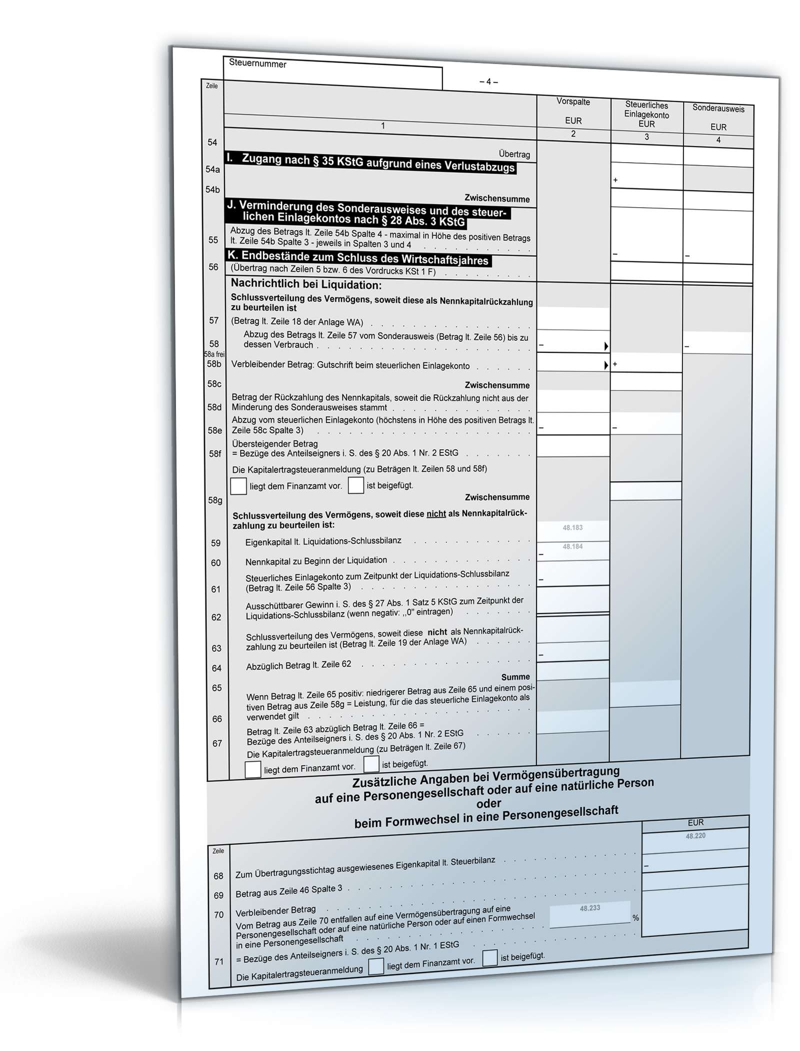 Anlage Ermittlung des steuerlichen Einlagekontos 2010 PDF. Seite: 4