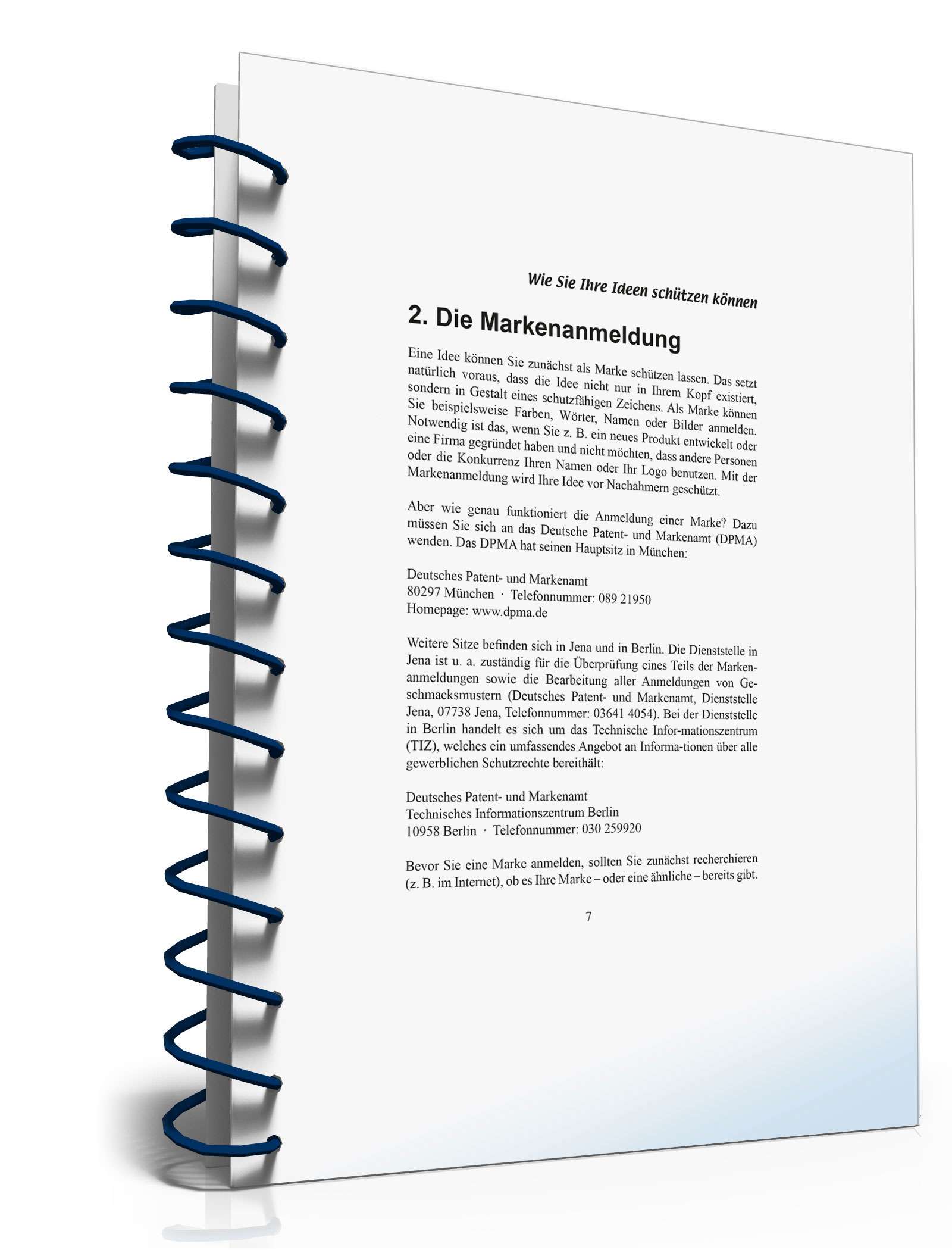 Wie Sie Ihre Ideen schützen können PDF. Seite: 7