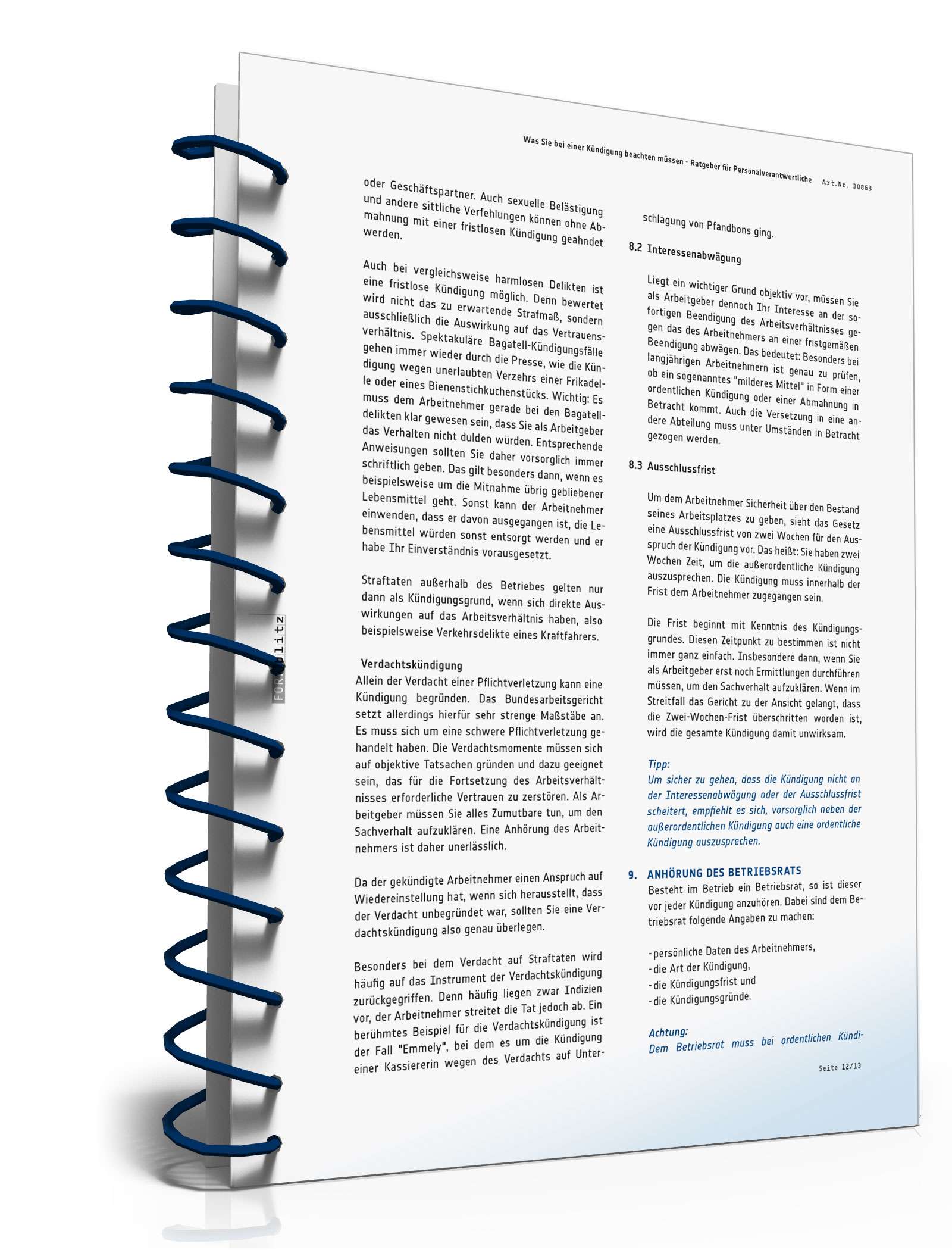 Was Sie bei einer Kündigung beachten müssen PDF. Seite: 13