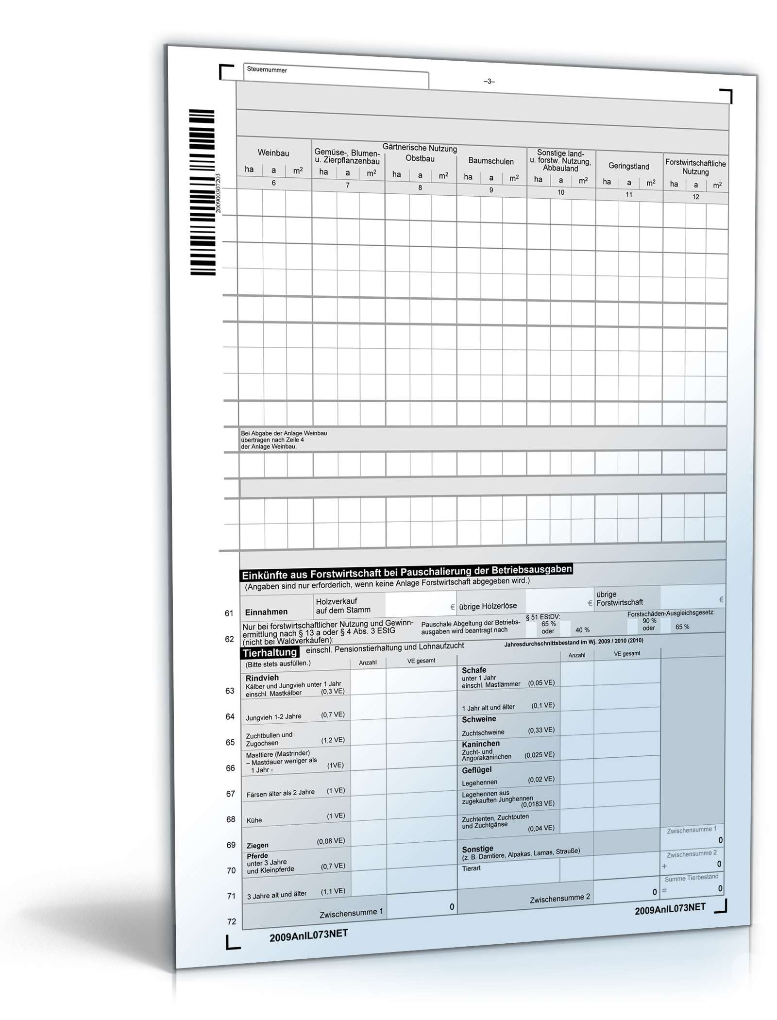 Anlage L 2009 PDF. Seite: 3