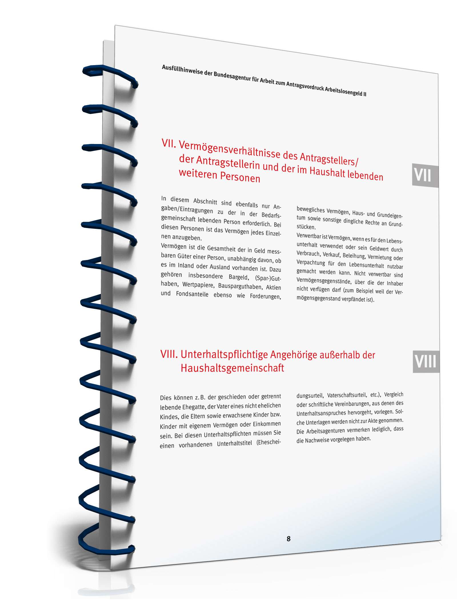 Ausfüllhinweise Antrag Bürgergeld PDF. Seite: 8