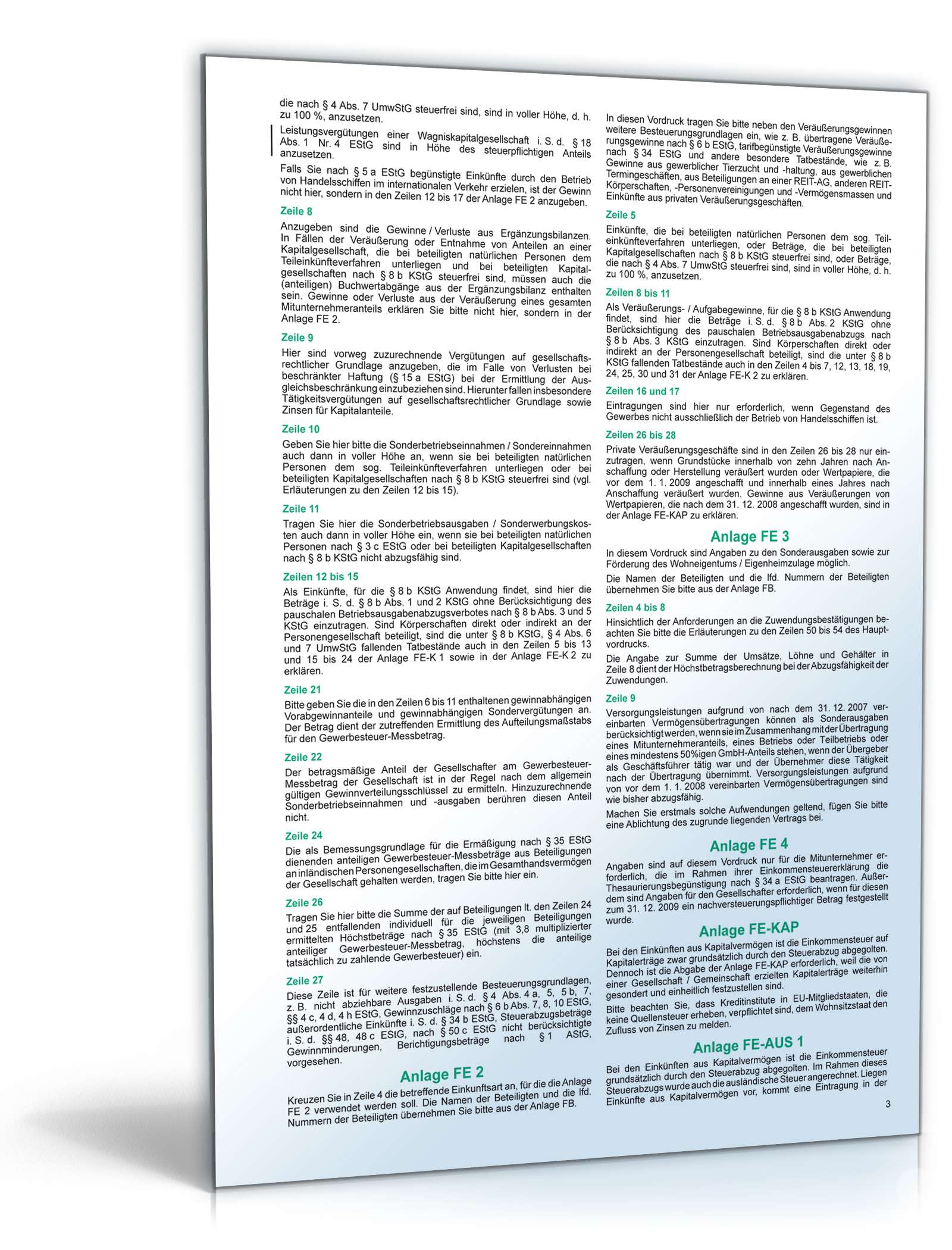 Anleitung Feststellung Einkommensbesteuerung/Eigenheimzulage 2010 PDF. Seite: 3