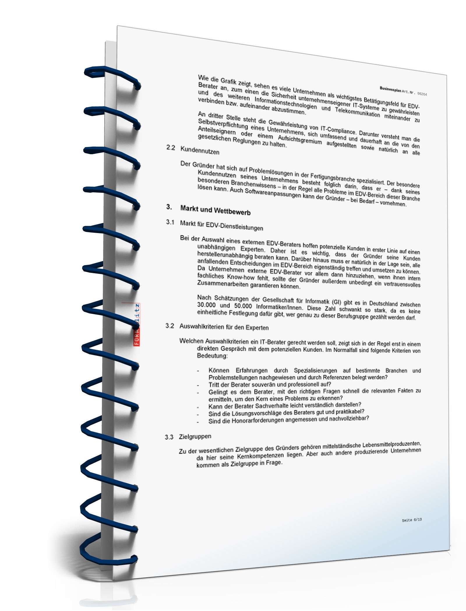 Businessplan IT-Berater Excel. Seite: 9