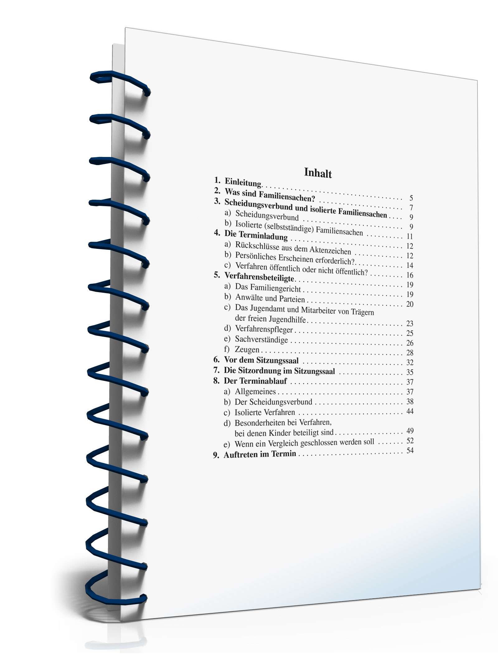 Ratgeber Gerichtstermin Familiensache PDF. Seite: 3