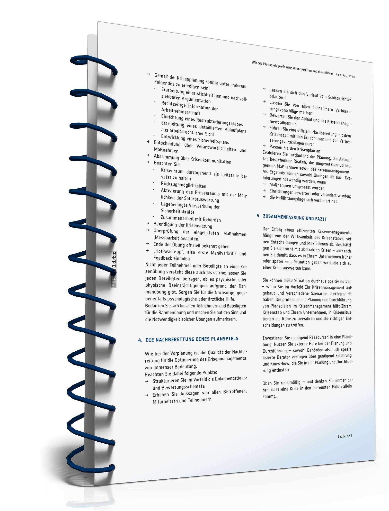 Ratgeber Planspiel PDF. Seite: 6