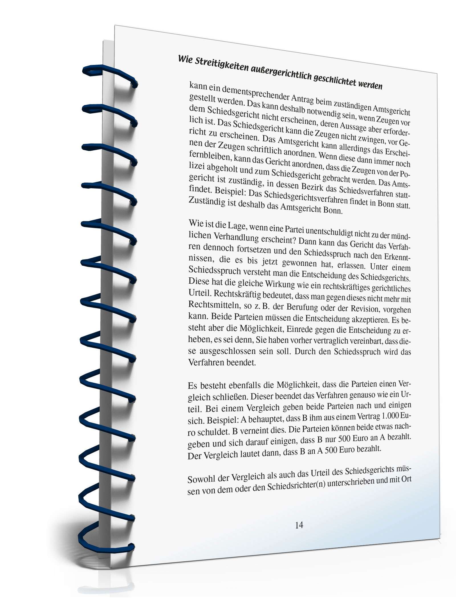 Wie Streitigkeiten außergerichtlich geschlichtet werden PDF. Seite: 13