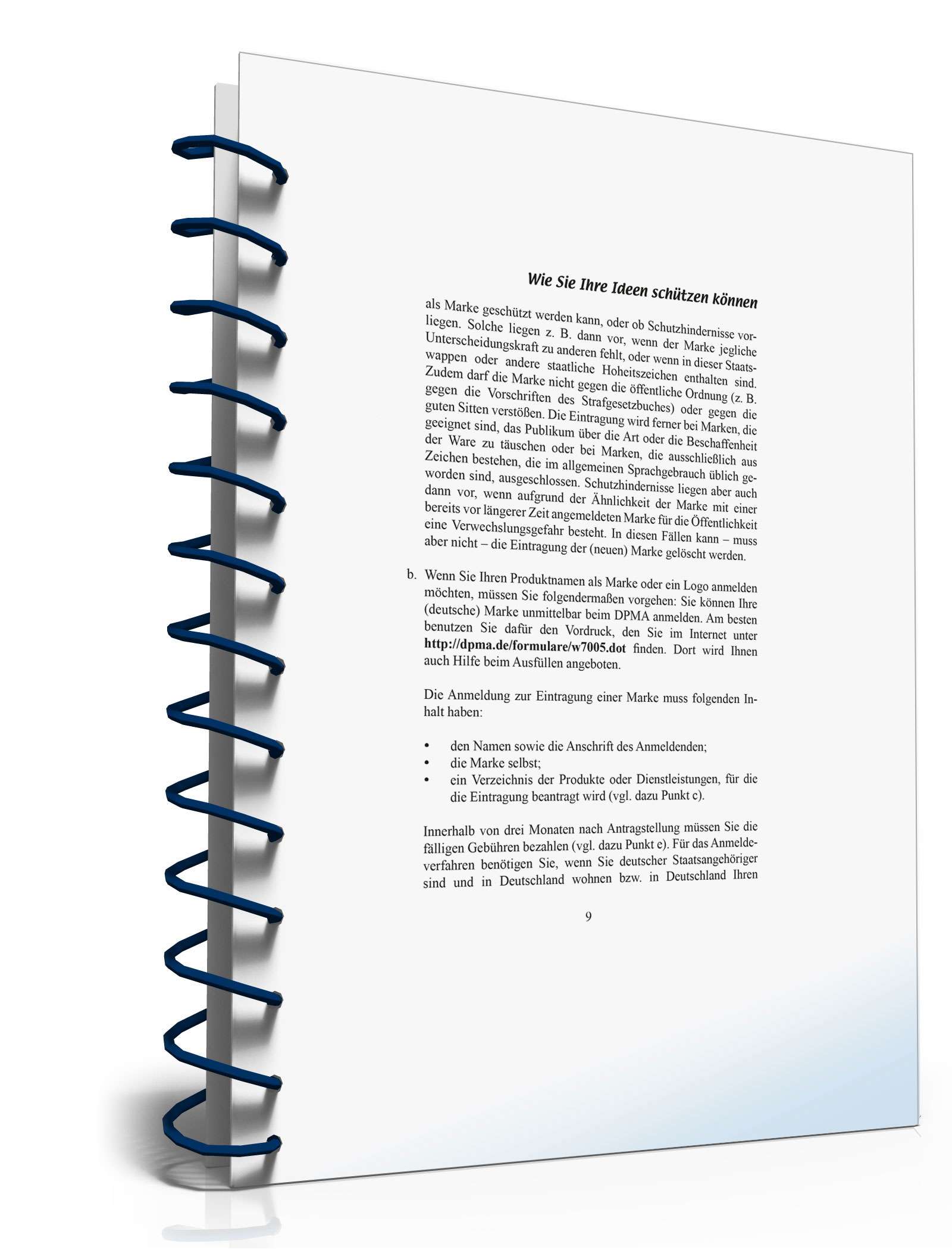 Wie Sie Ihre Ideen schützen können PDF. Seite: 9