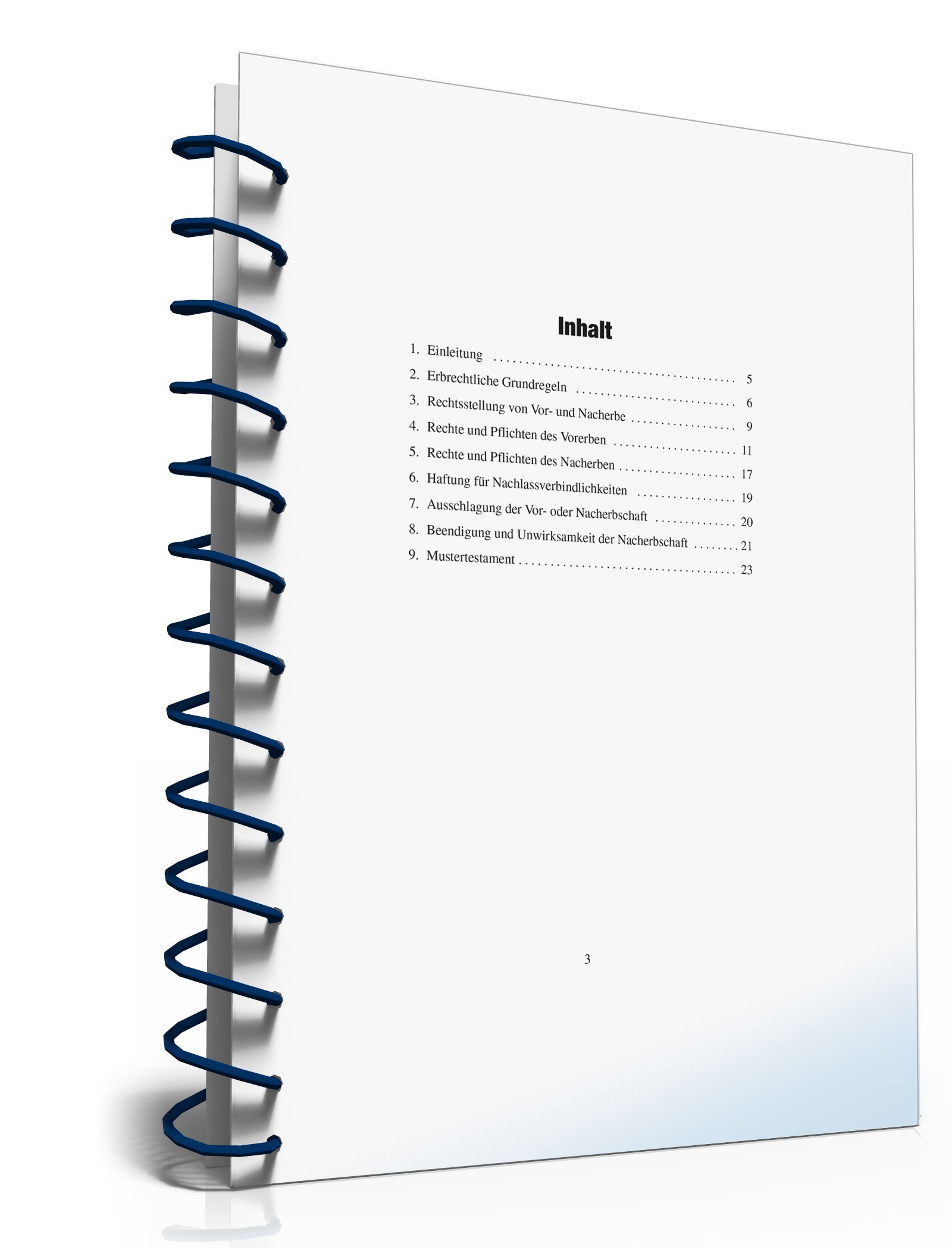 Ratgeber Vorerbschaft PDF. Seite: 3