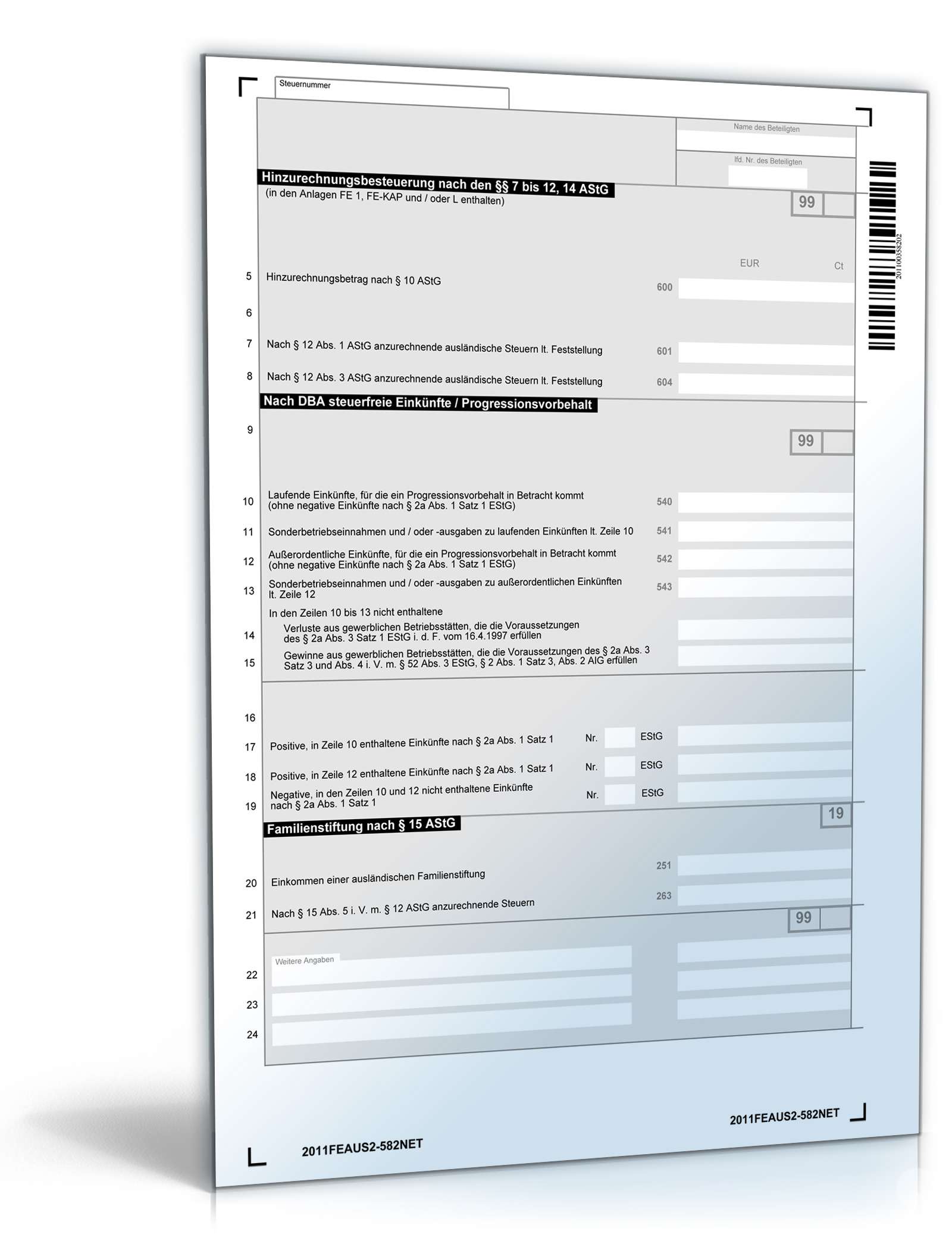 Anlage FE-AUS2 2011 PDF. Seite: 2