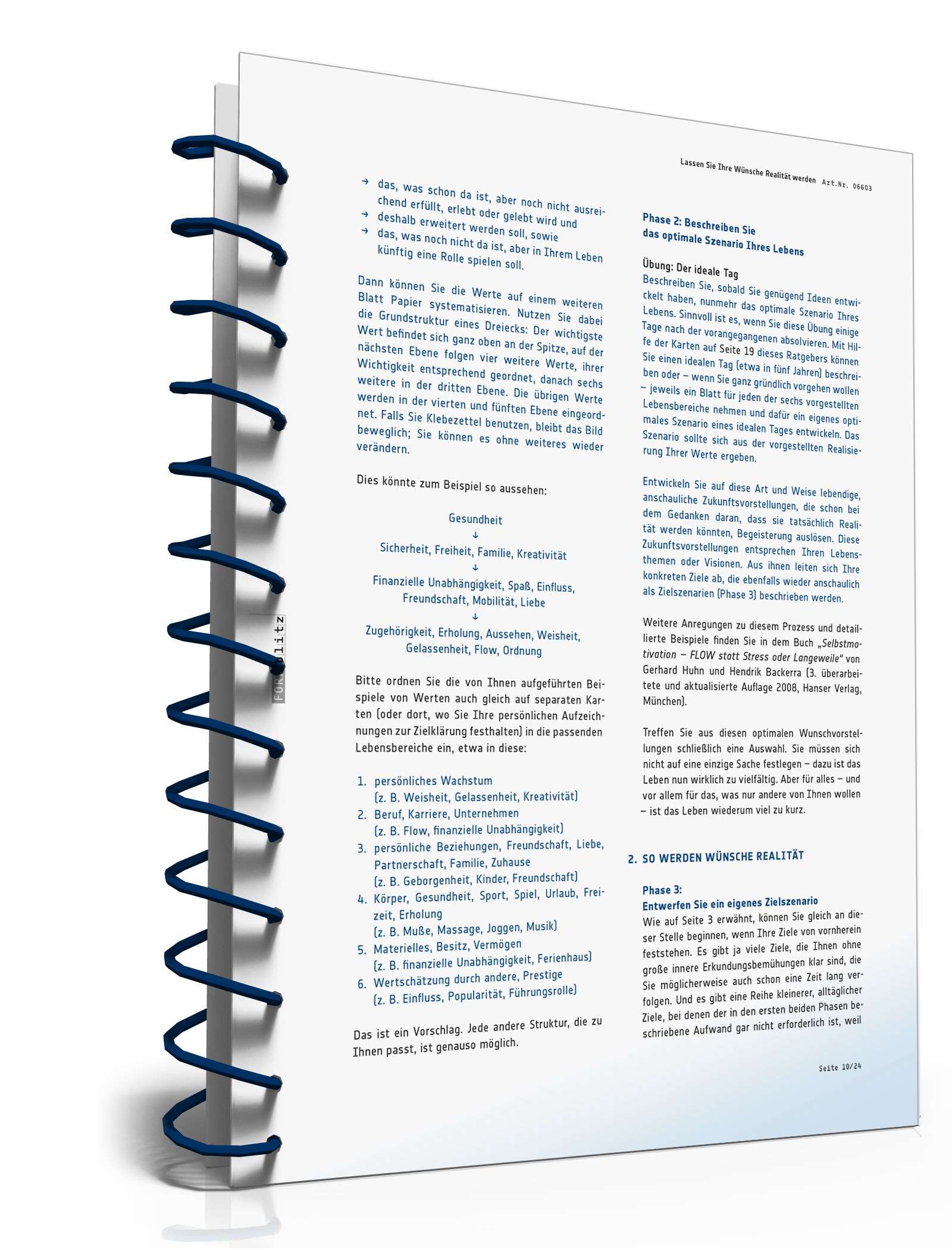 Ratgeber Verwirklichung Ziele PDF. Seite: 11