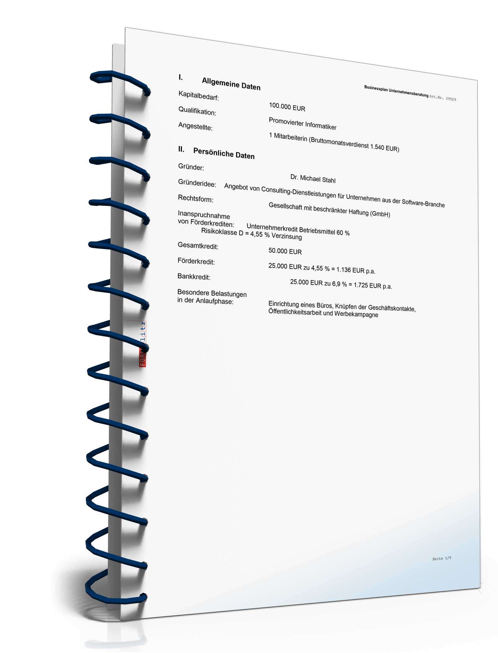 Businessplan Unternehmensberatung Excel. Seite: 6