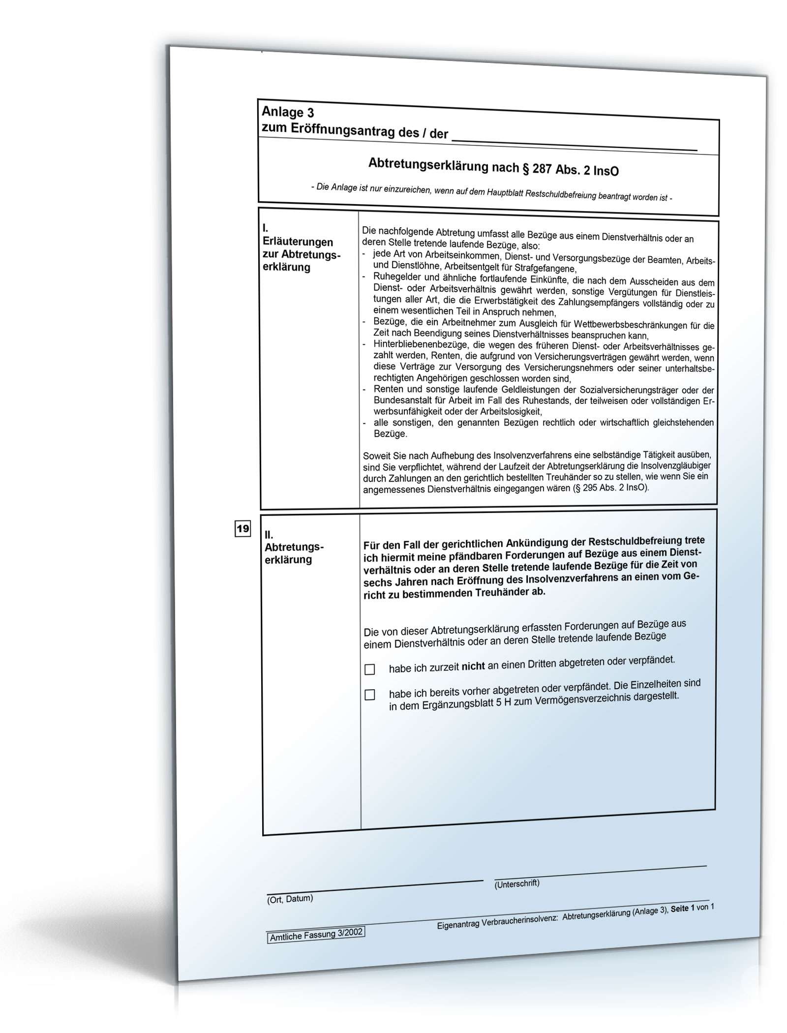 Vordrucke für das Verbraucherinsolvenzverfahren Excel. Seite: 6